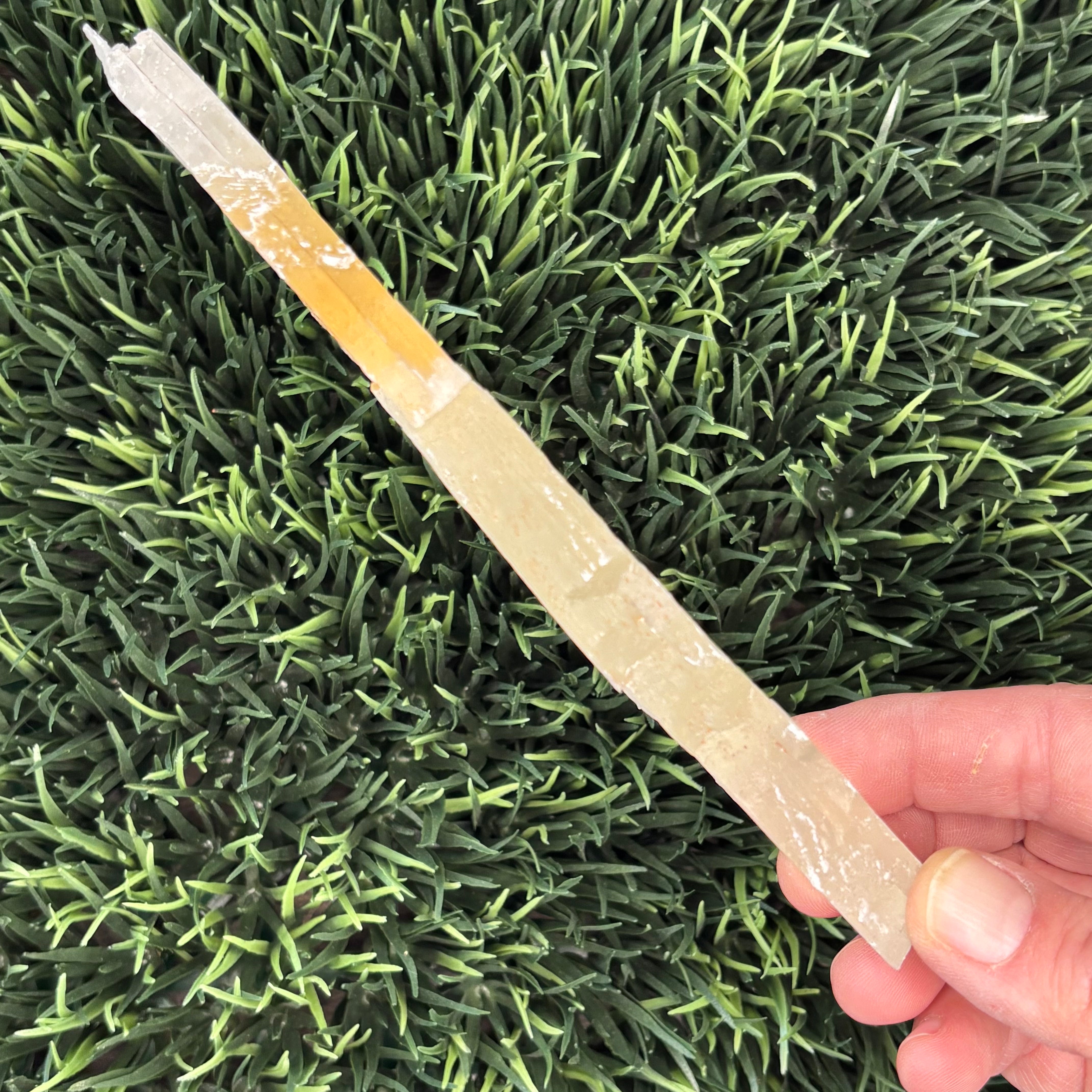 Golden Selenite Window - 566