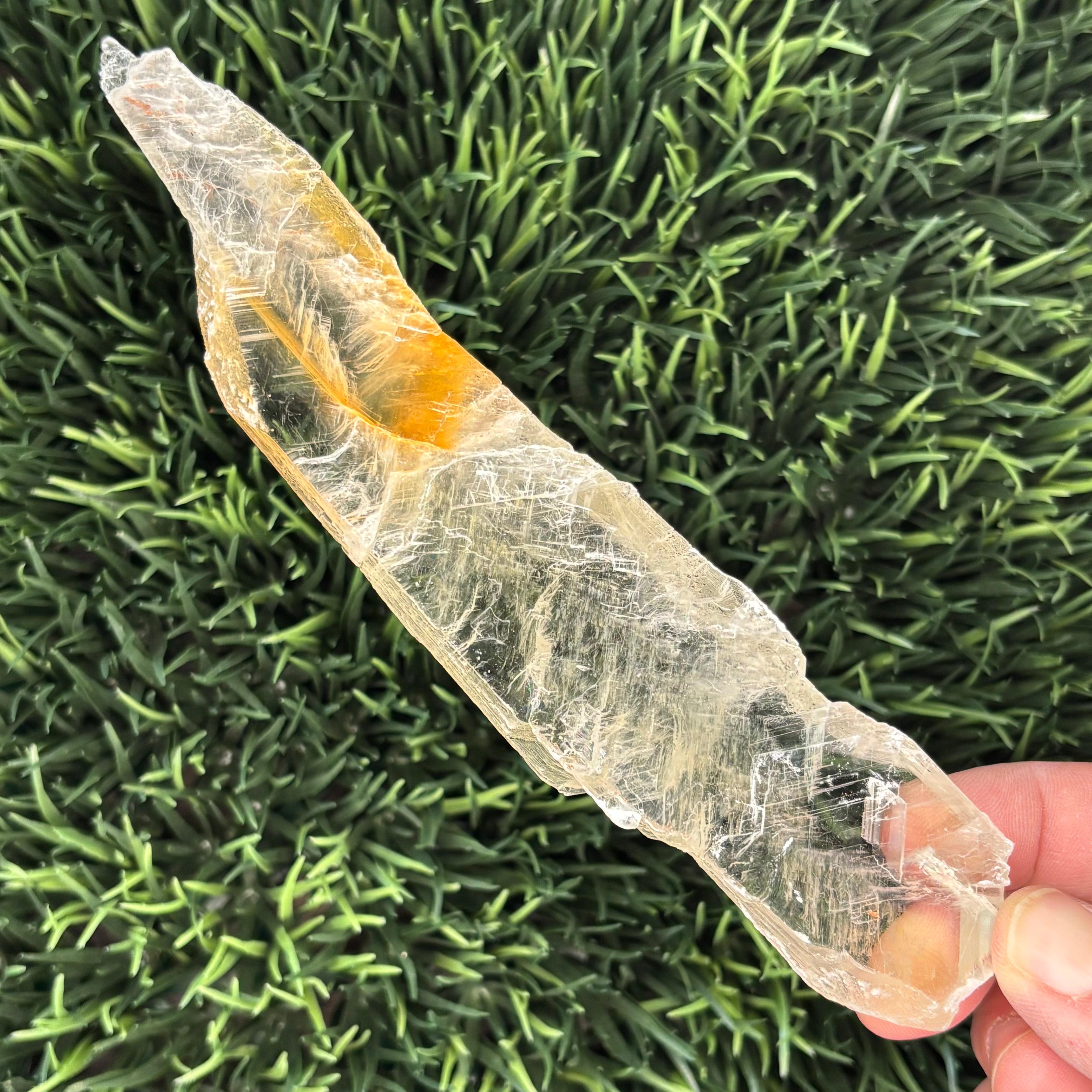 Golden Selenite Window - 566