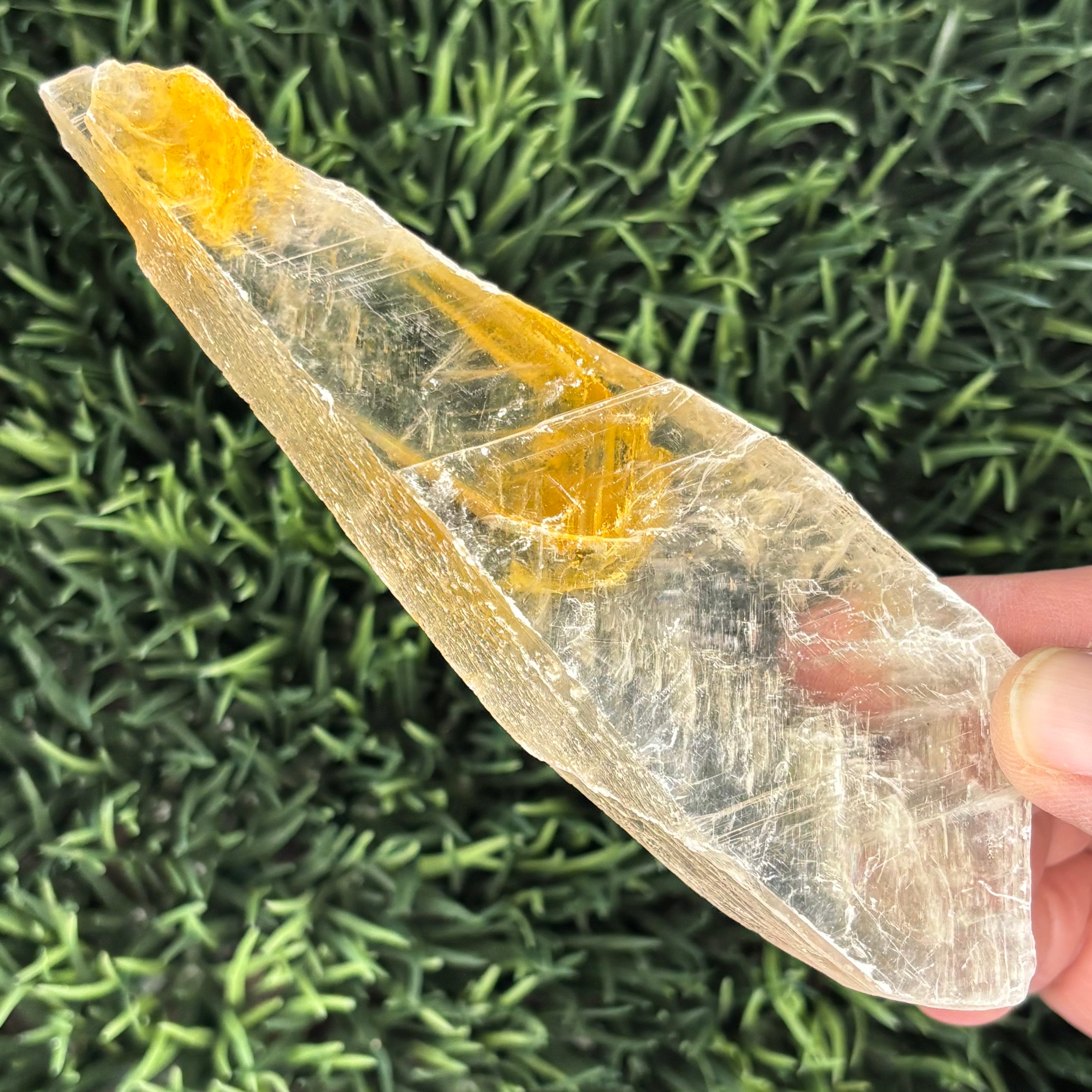 Golden Selenite Window - 567