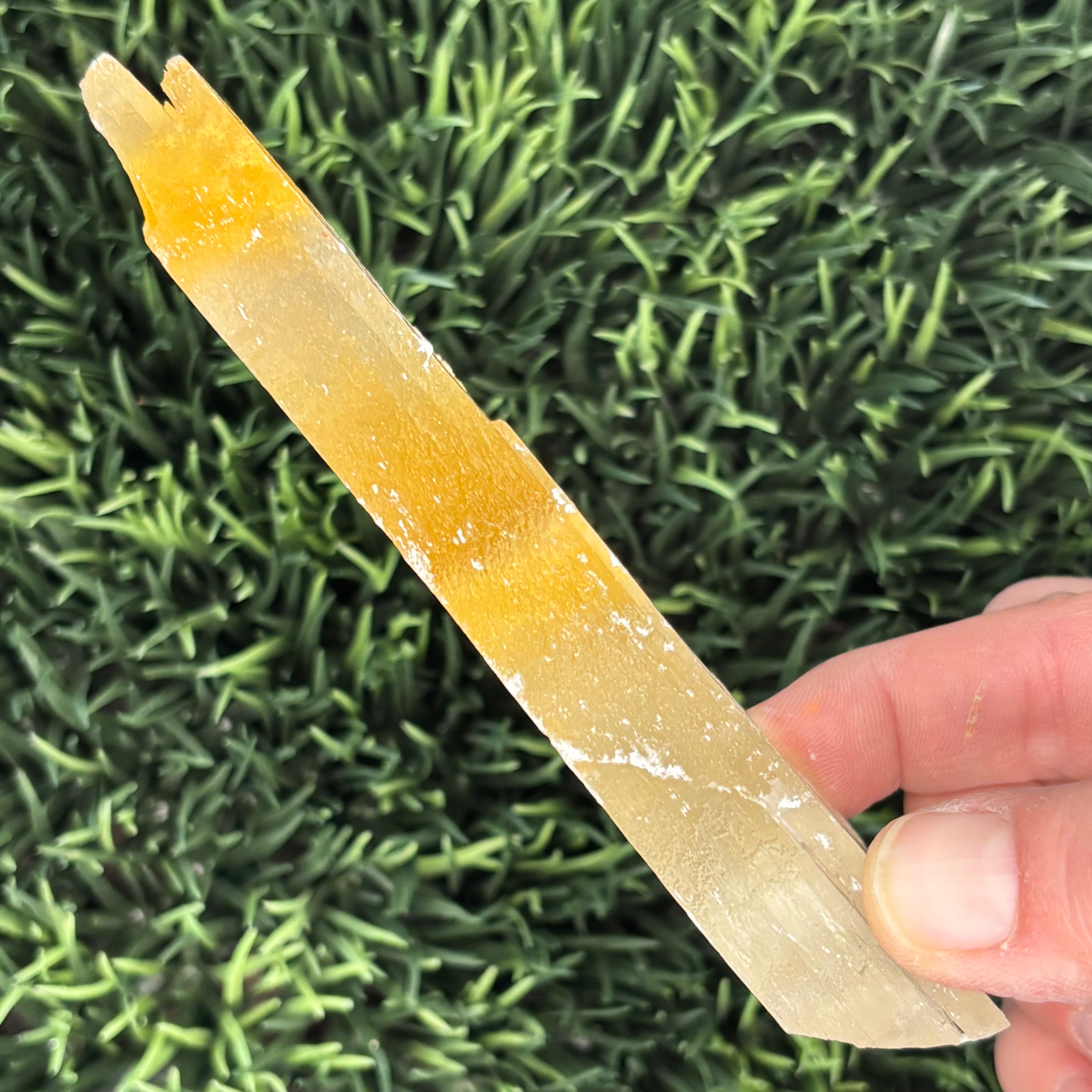 Golden Selenite Window - 567
