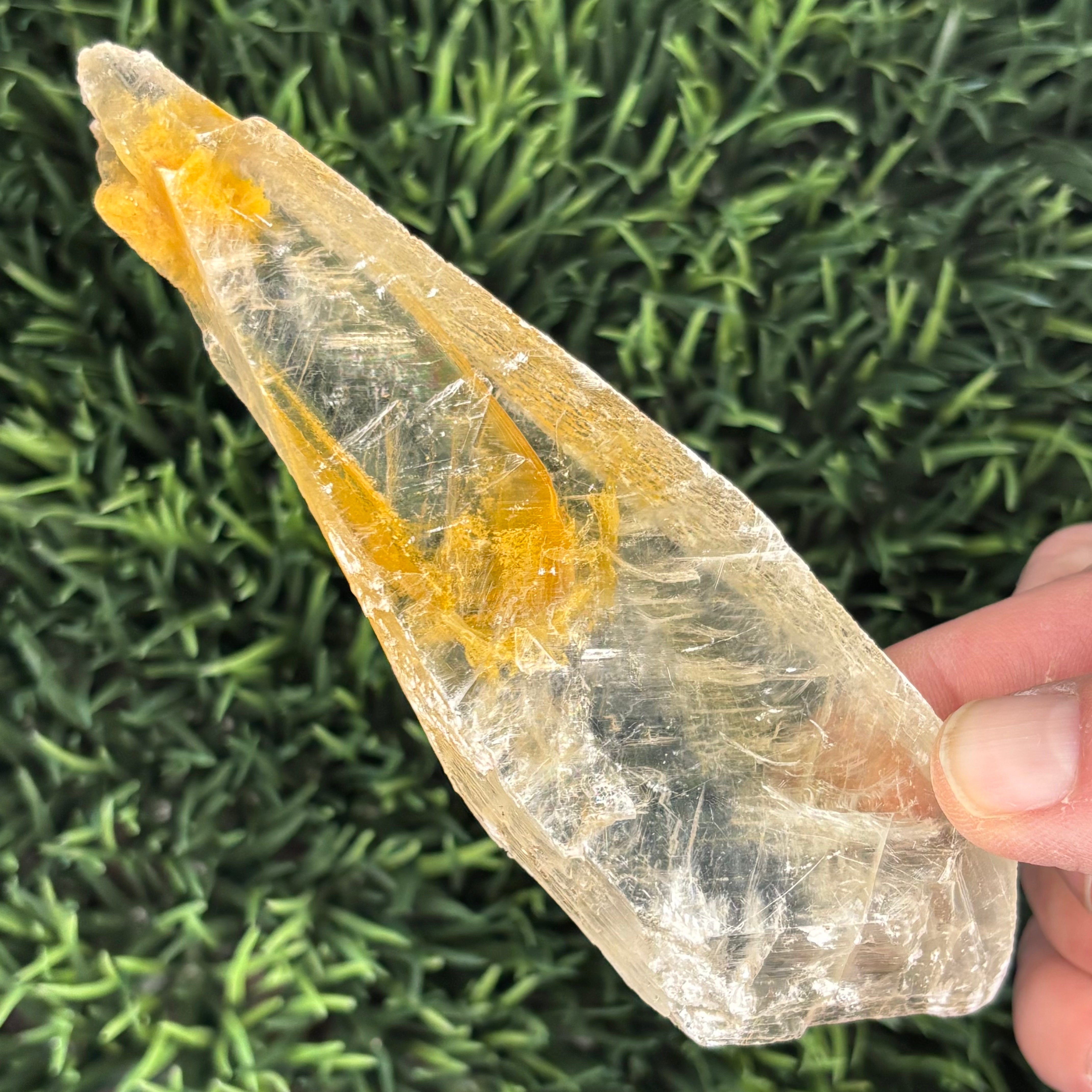 Golden Selenite Window - 567