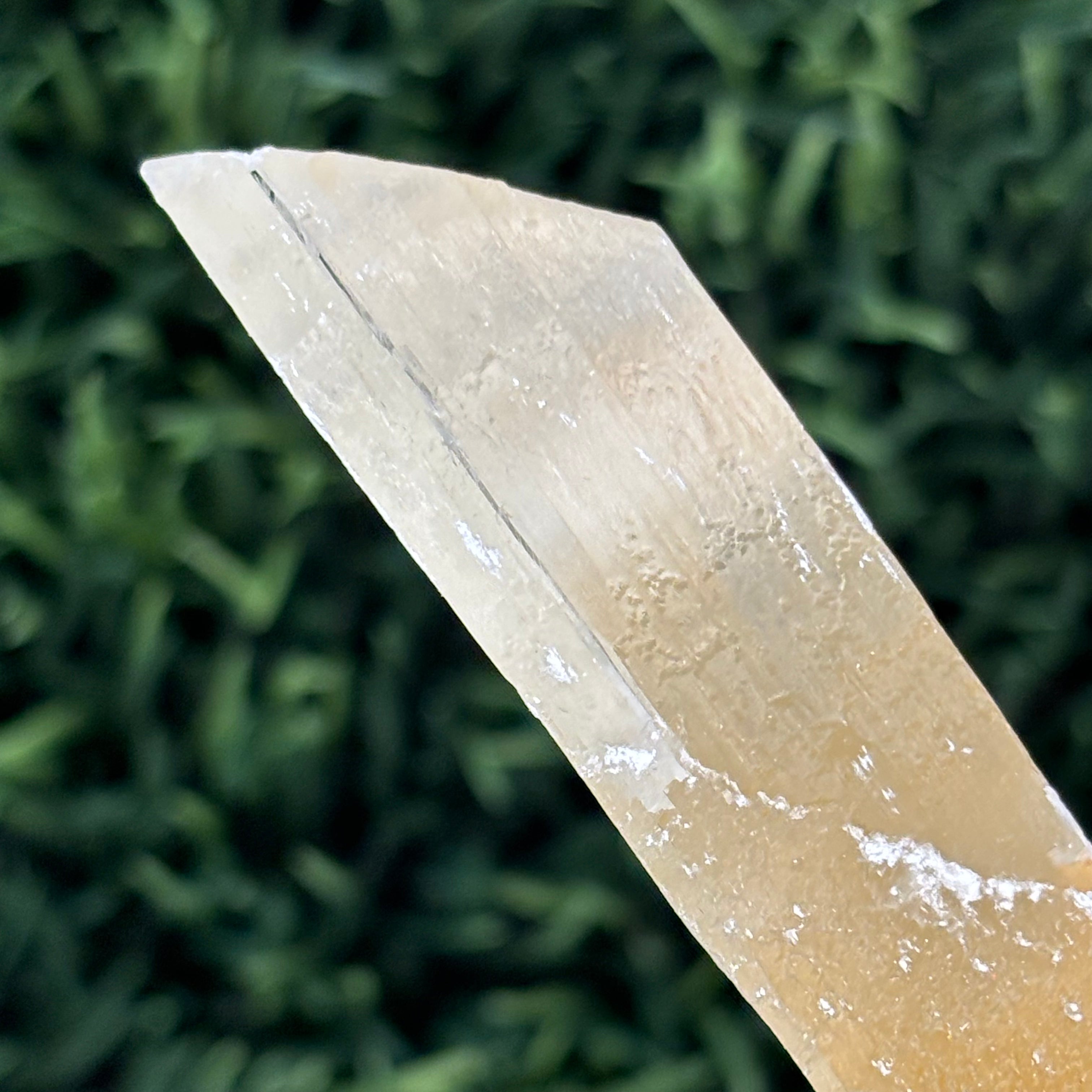 Golden Selenite Window - 567