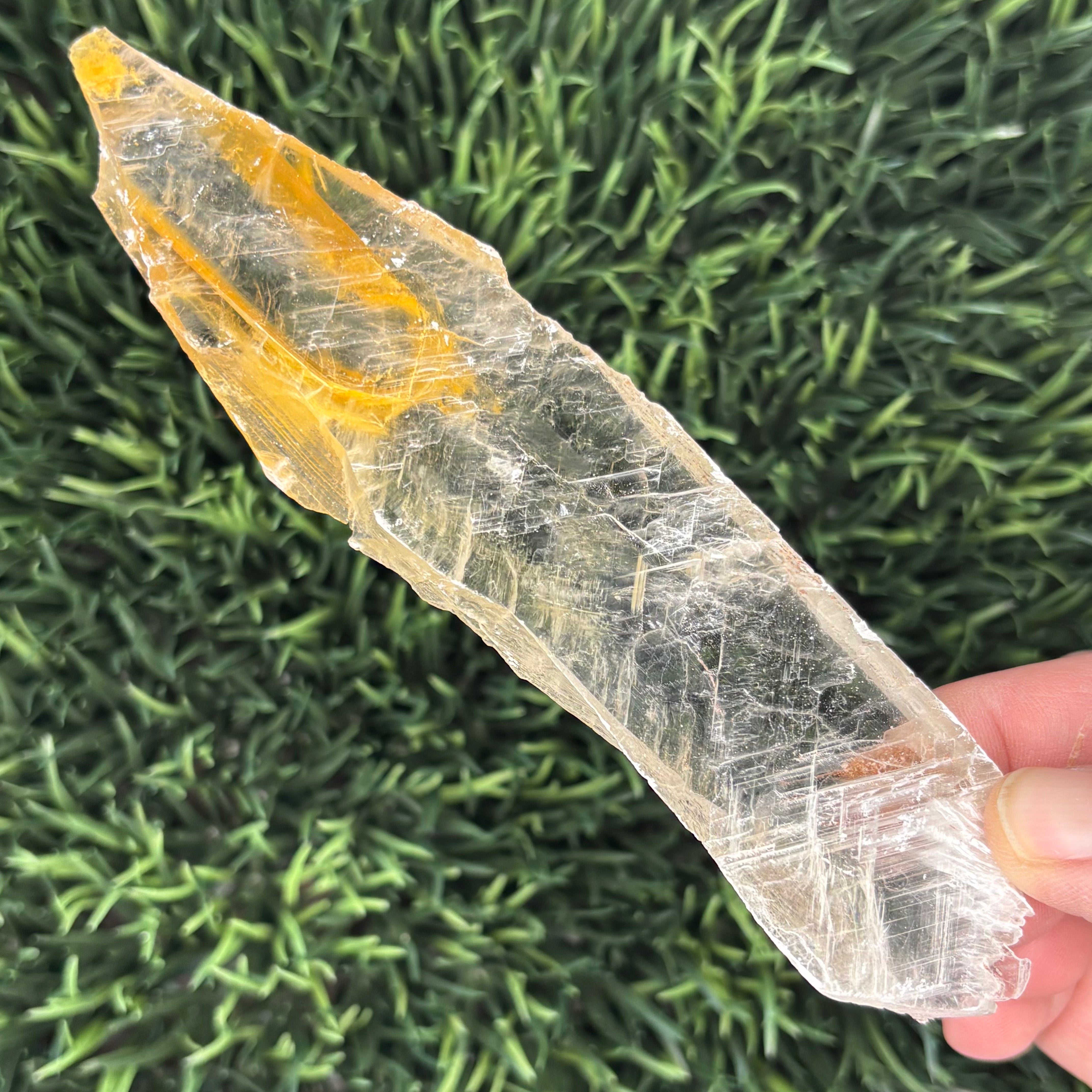 Golden Selenite Window - 568
