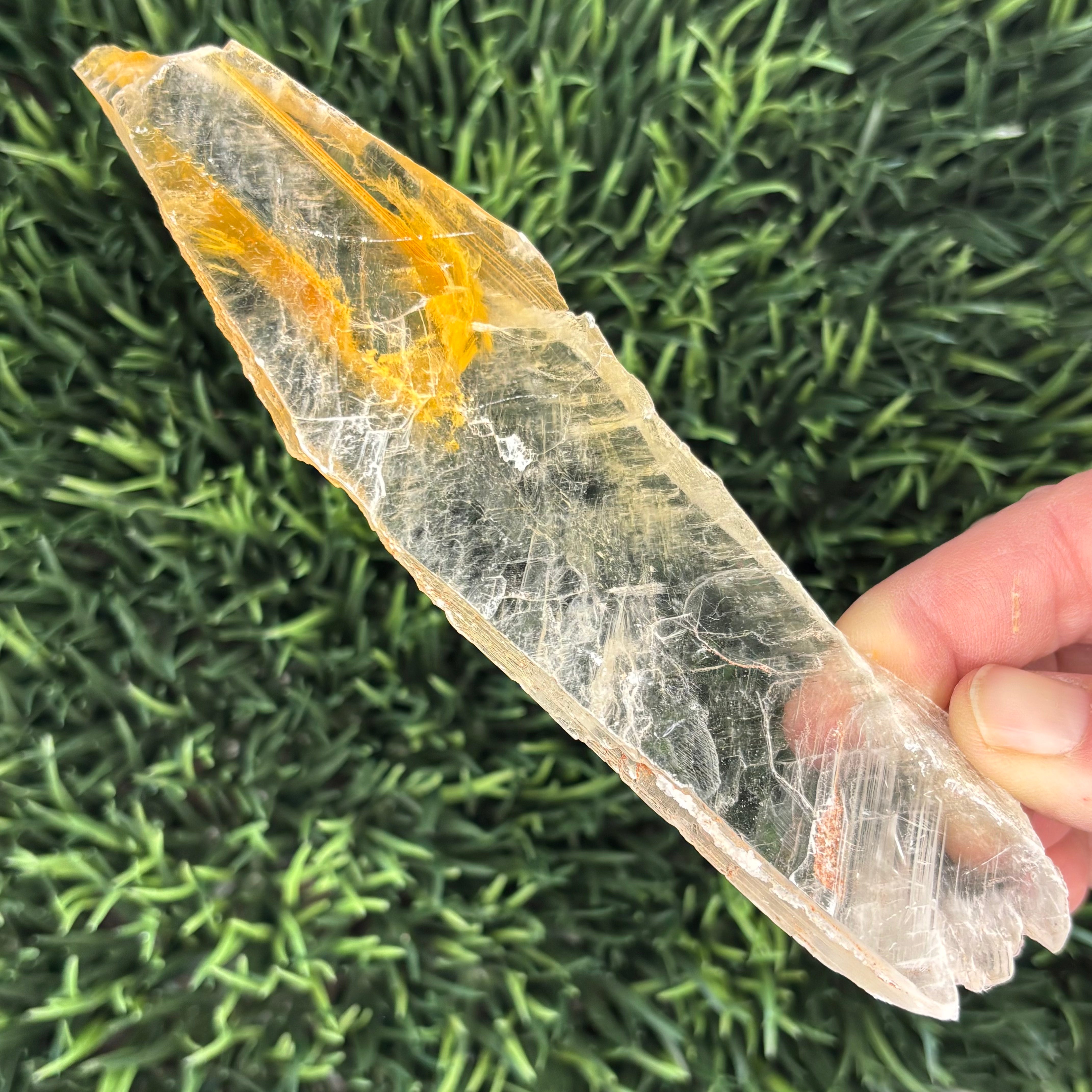 Golden Selenite Window - 568