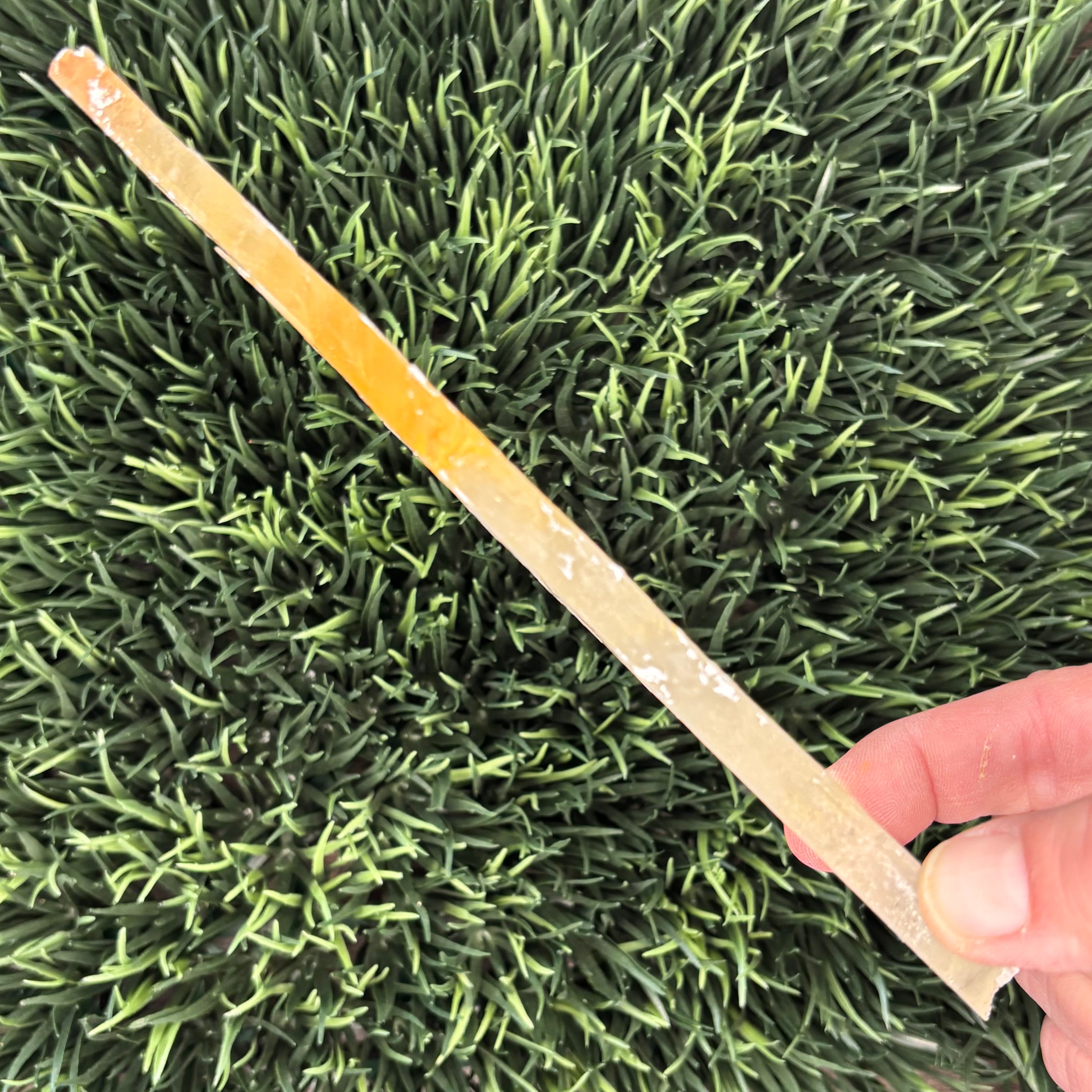 Golden Selenite Window - 569