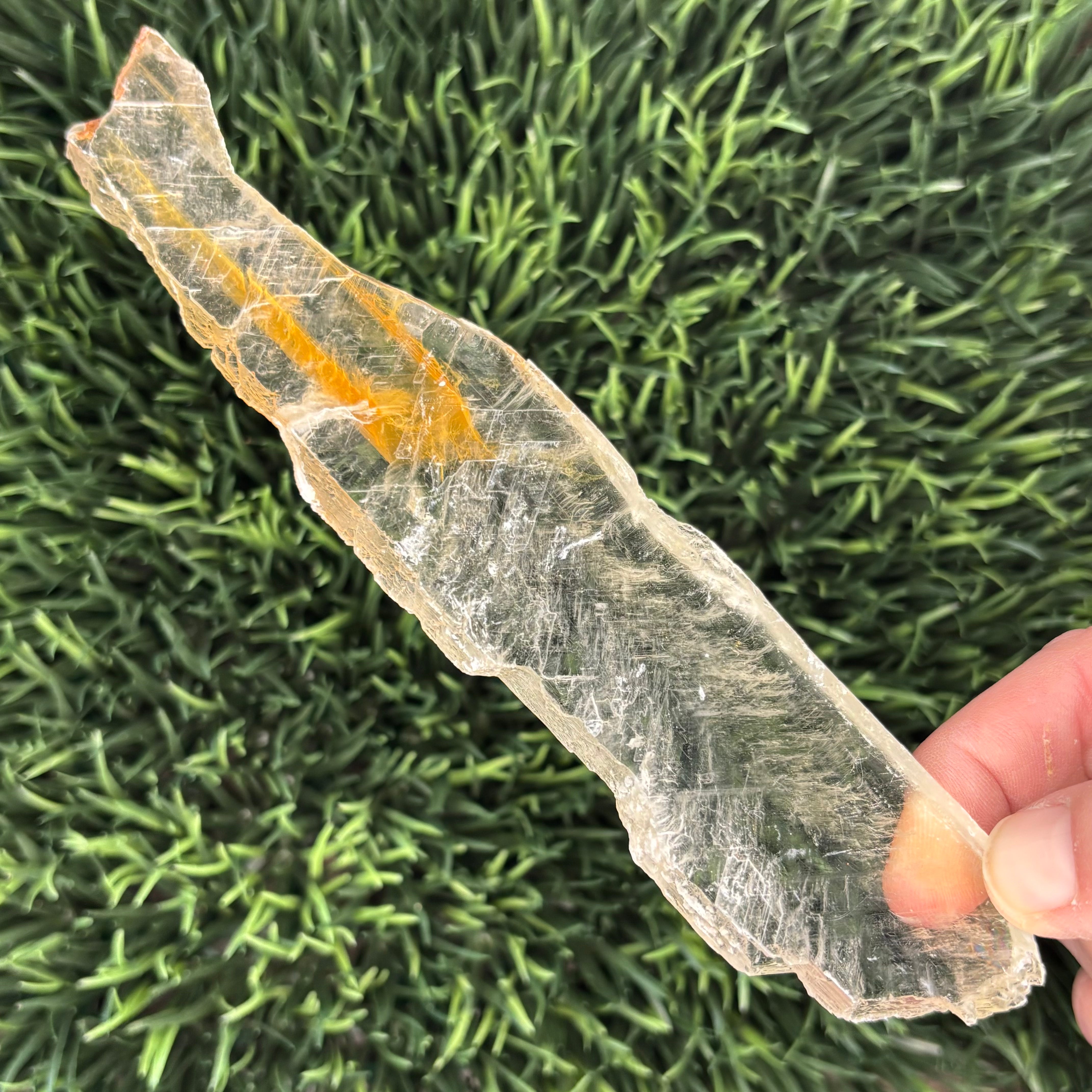 Golden Selenite Window - 569