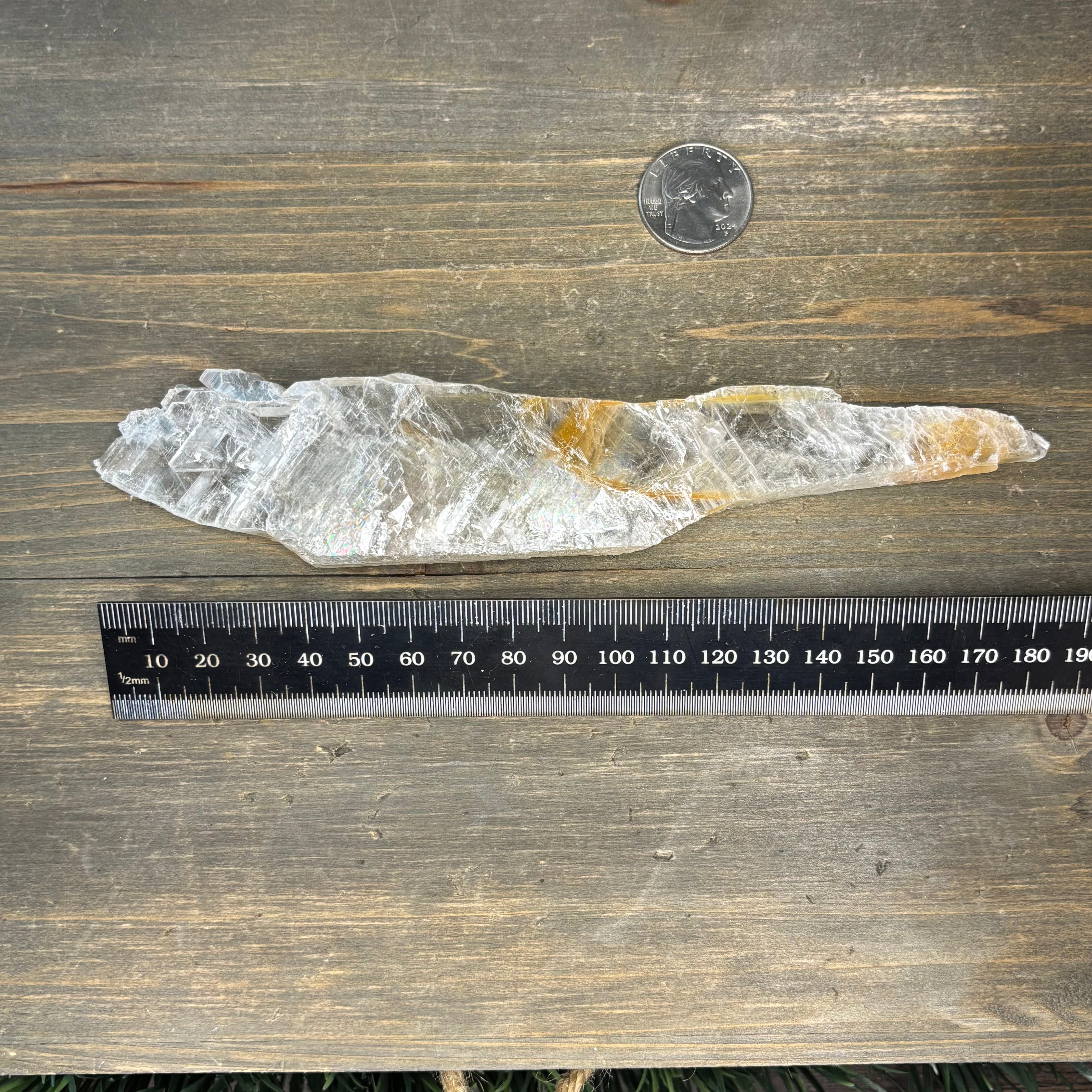 Golden Selenite Window - 570