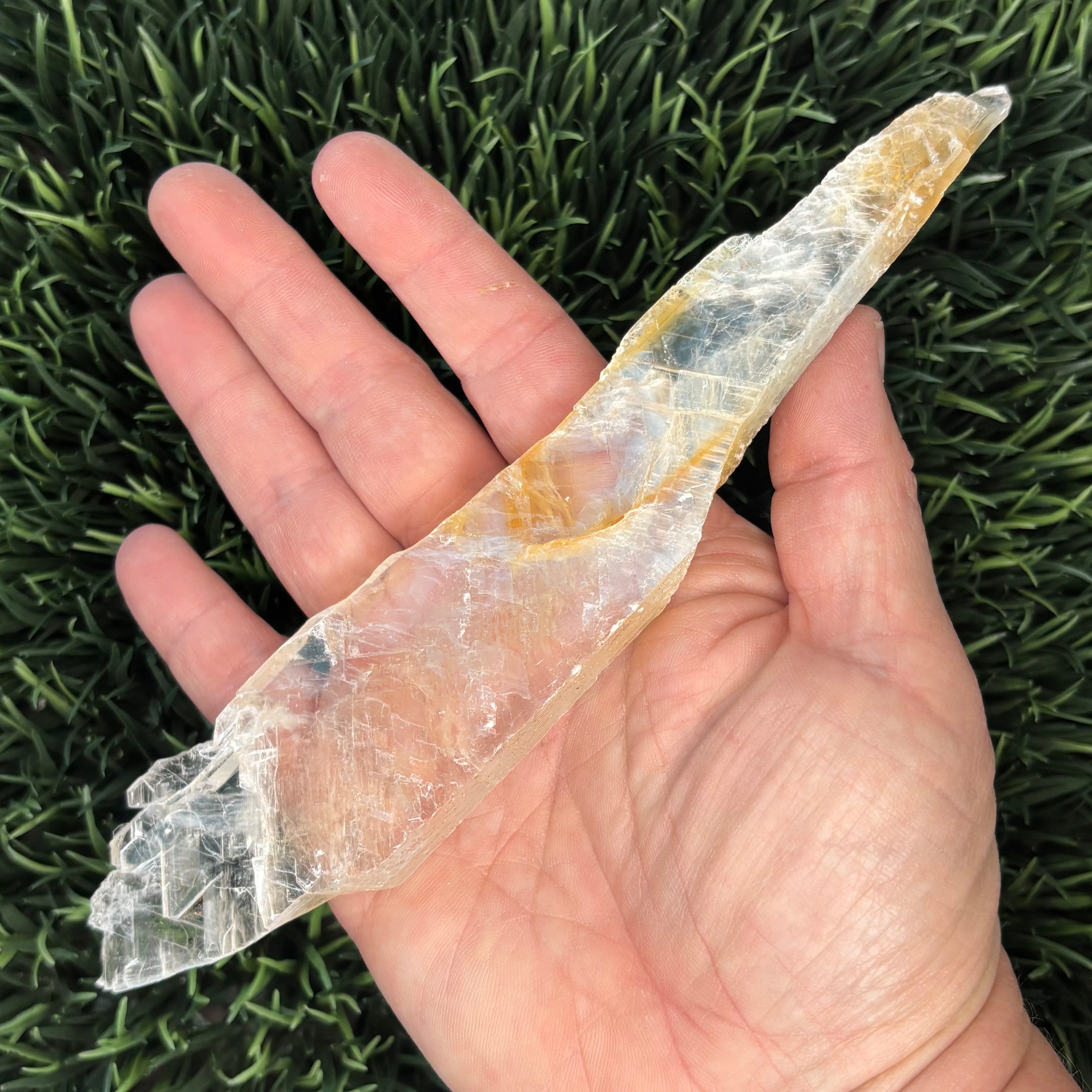 Golden Selenite Window - 570