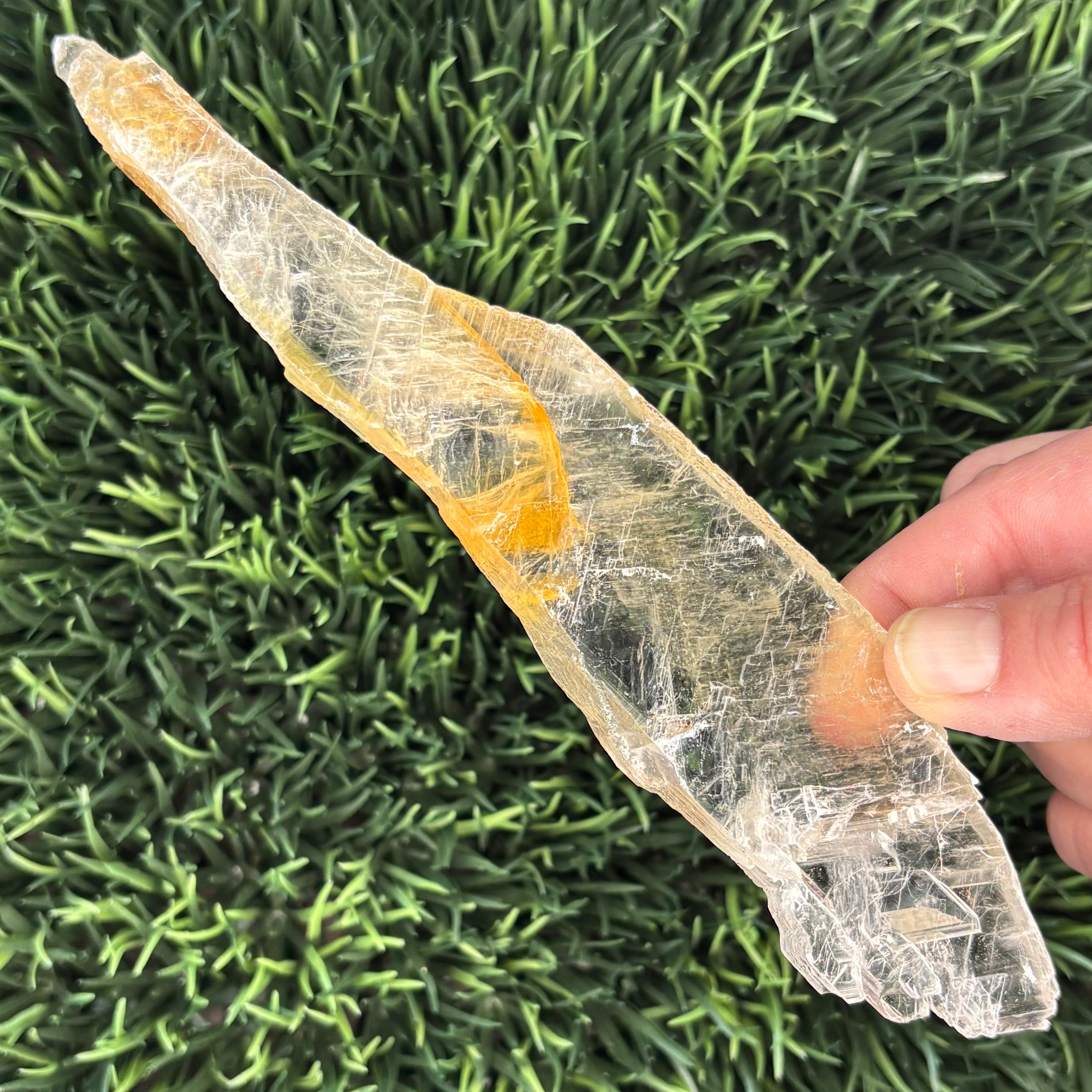 Golden Selenite Window - 570