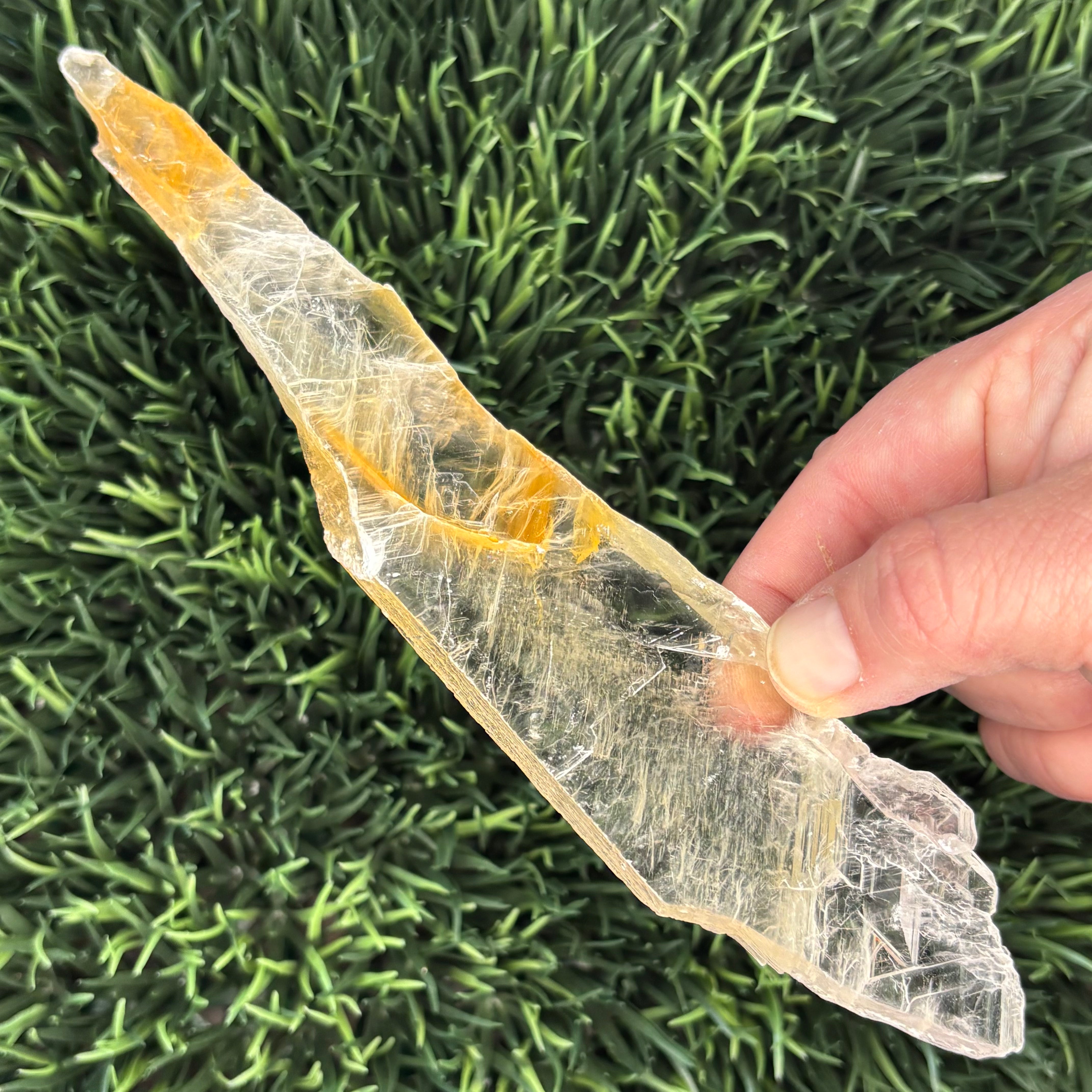 Golden Selenite Window - 570