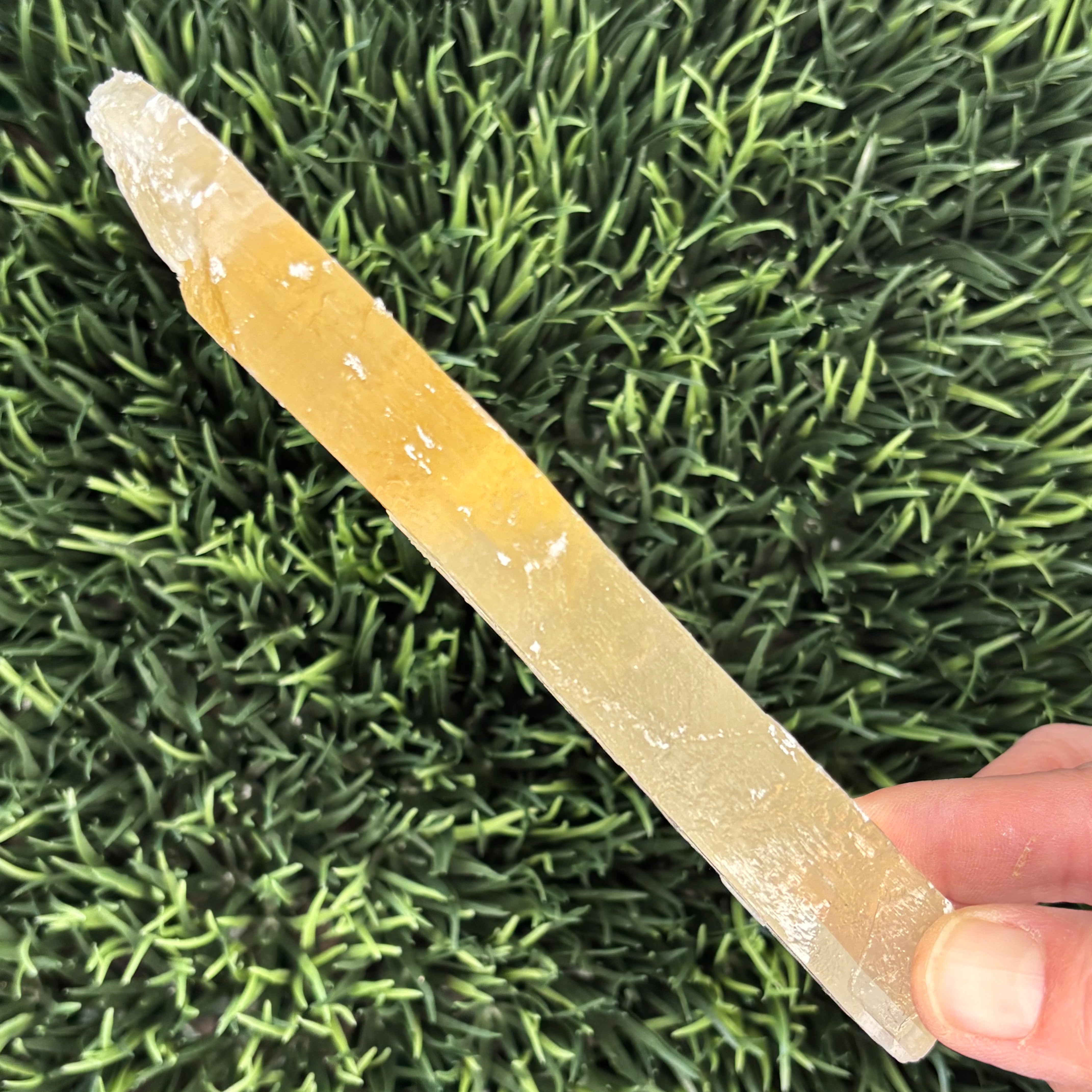Golden Selenite Window - 571