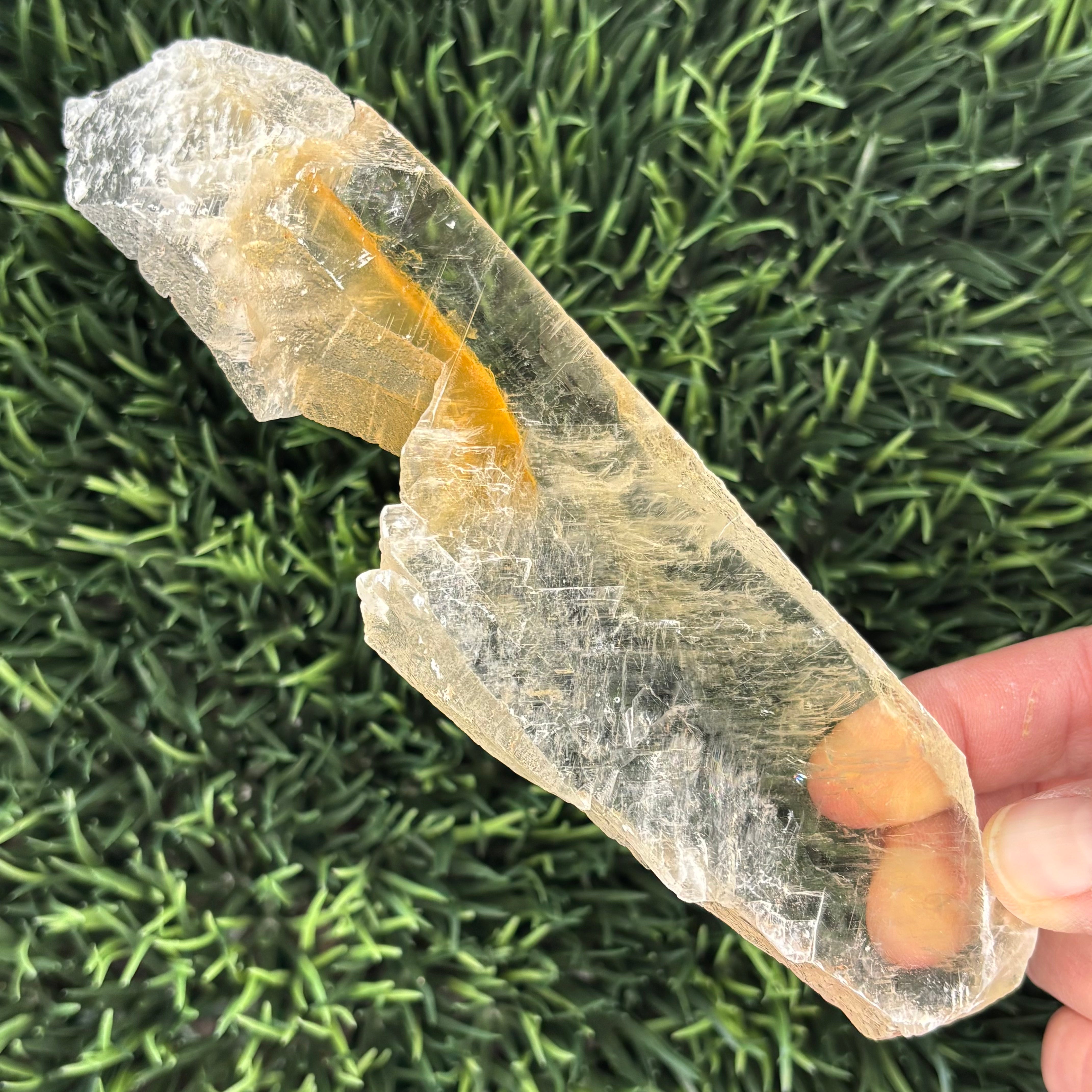 Golden Selenite Window - 571