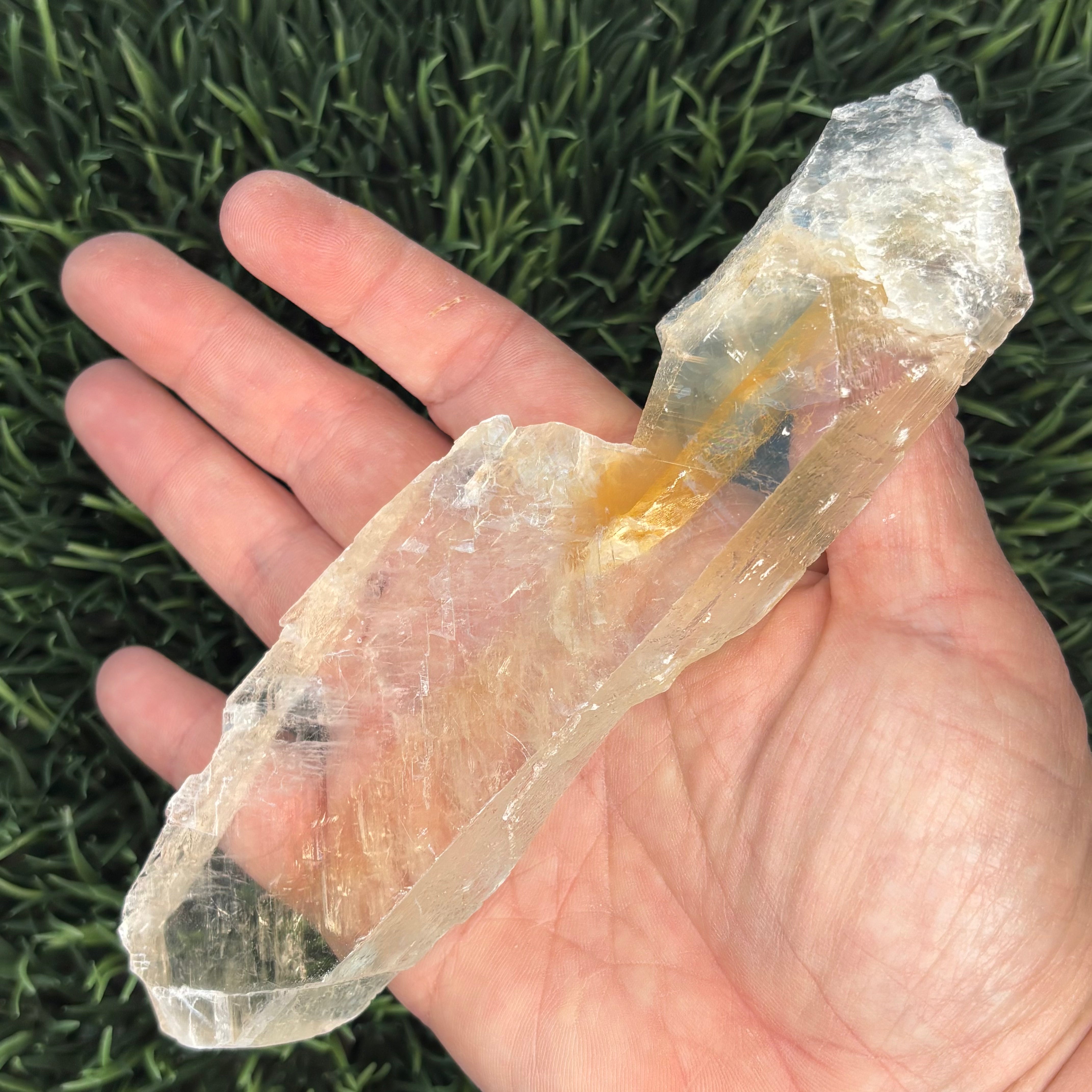 Golden Selenite Window - 571