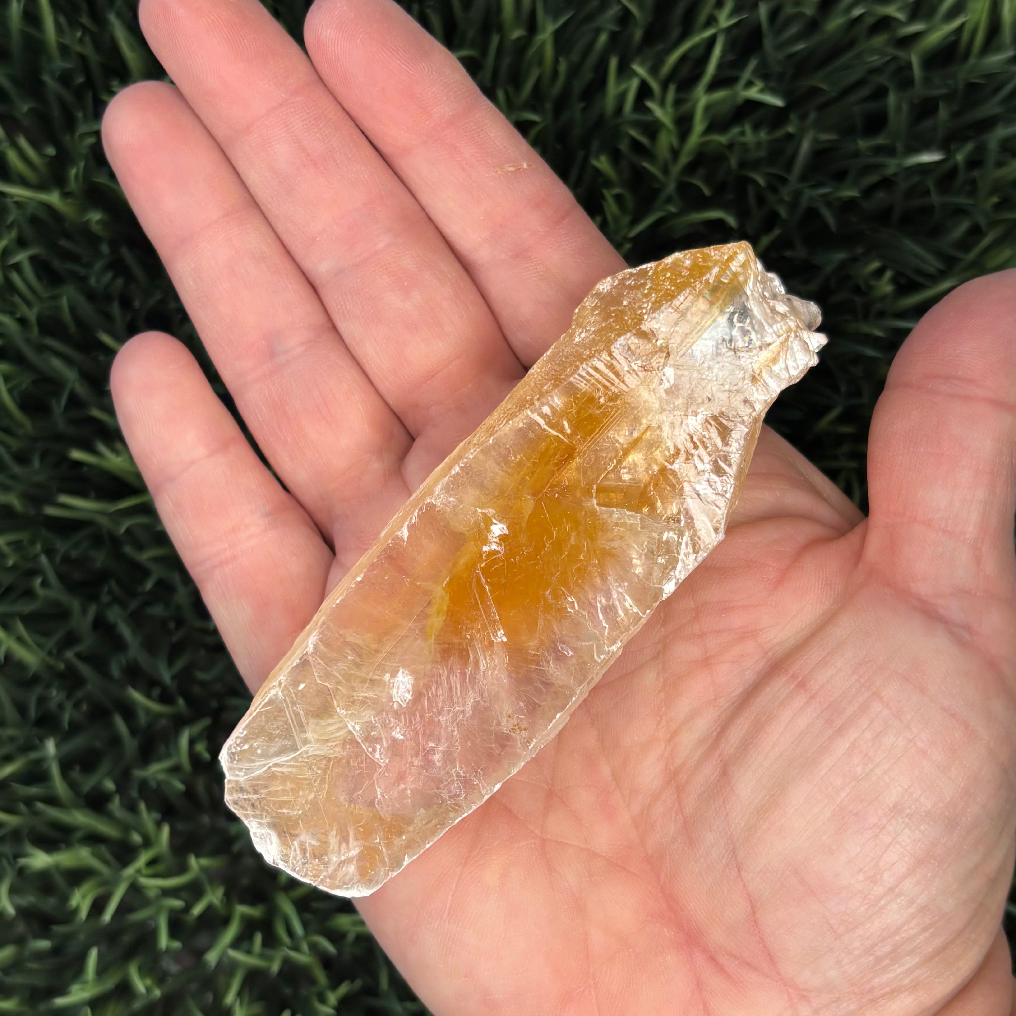 Golden Selenite Window - 572