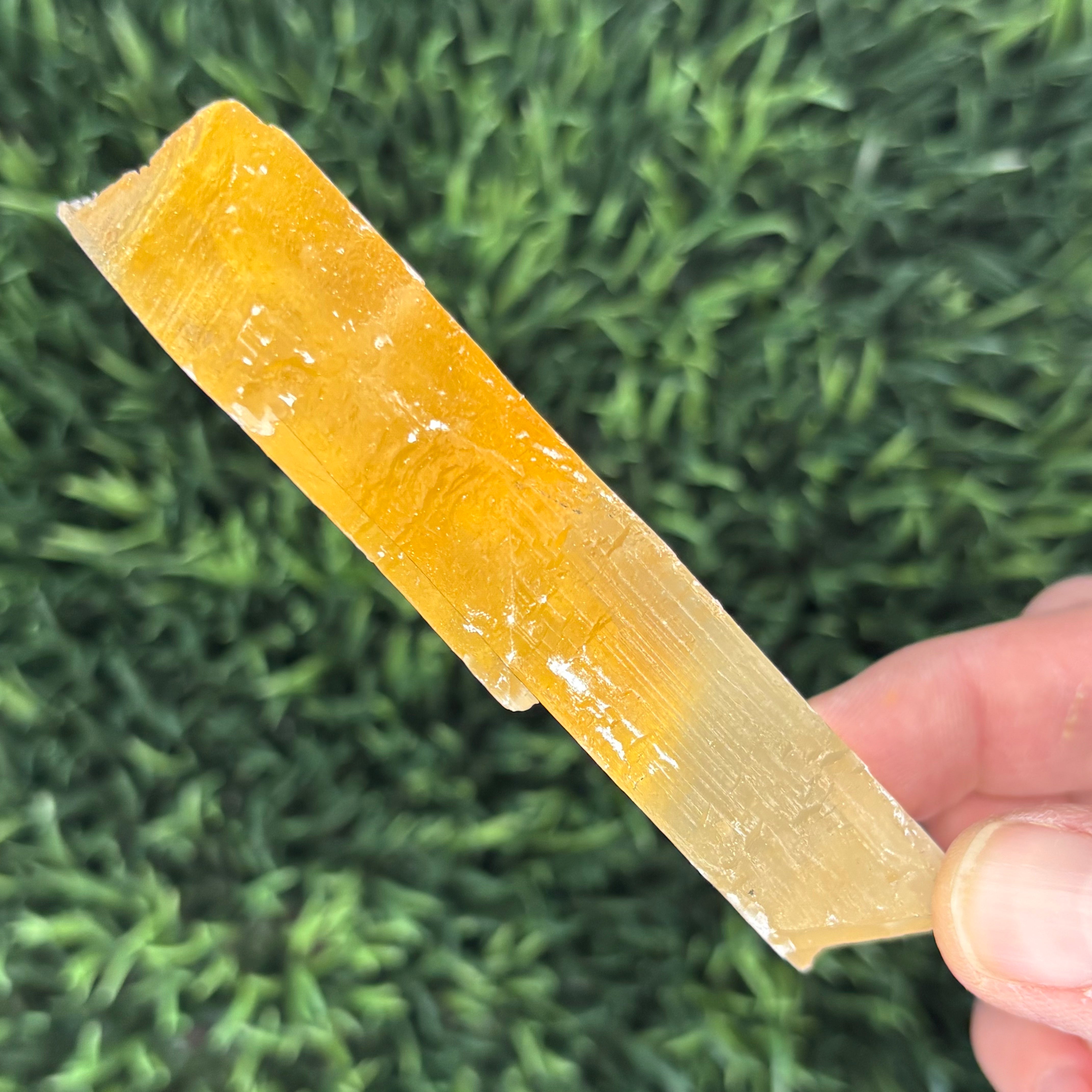 Golden Selenite Window - 572