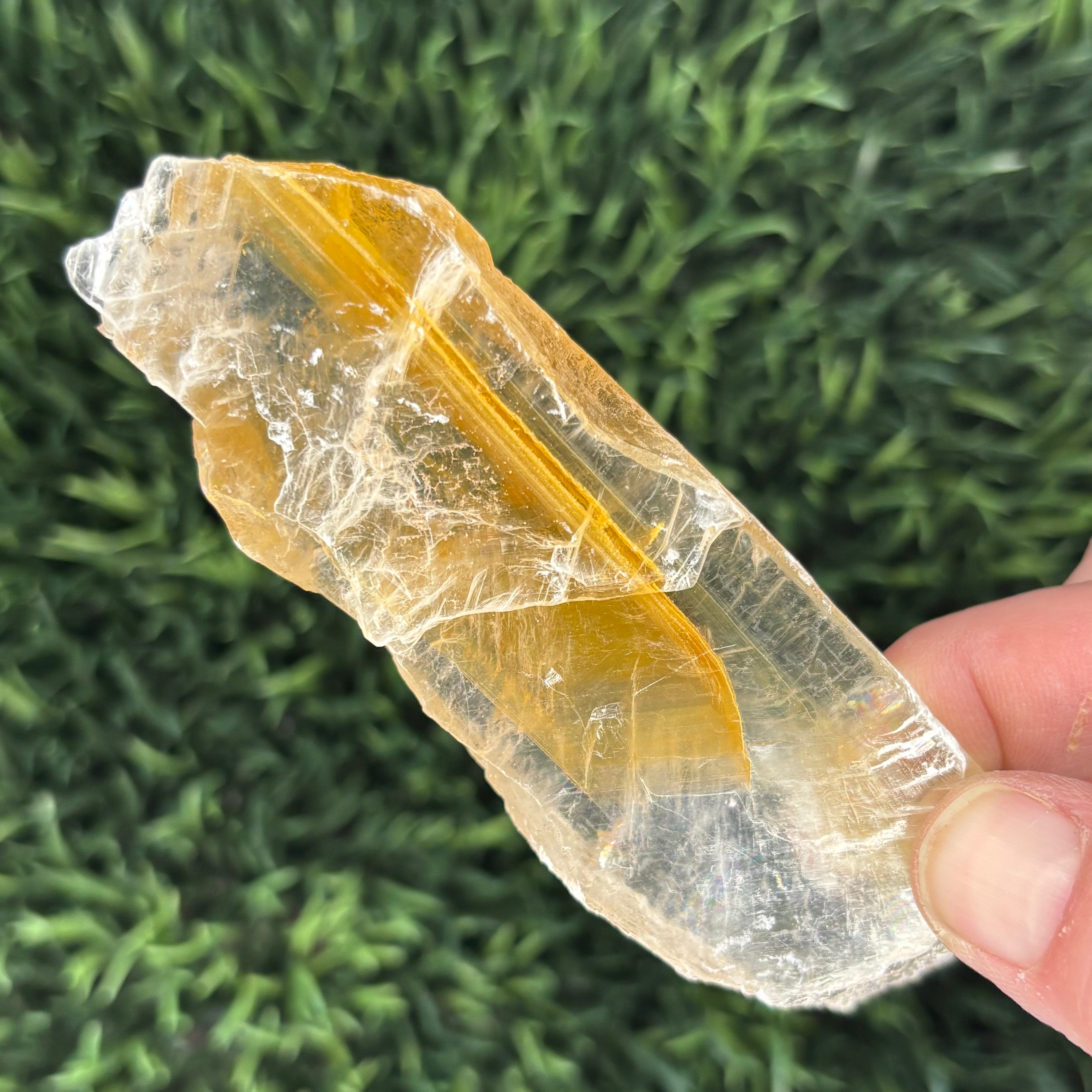Golden Selenite Window - 572