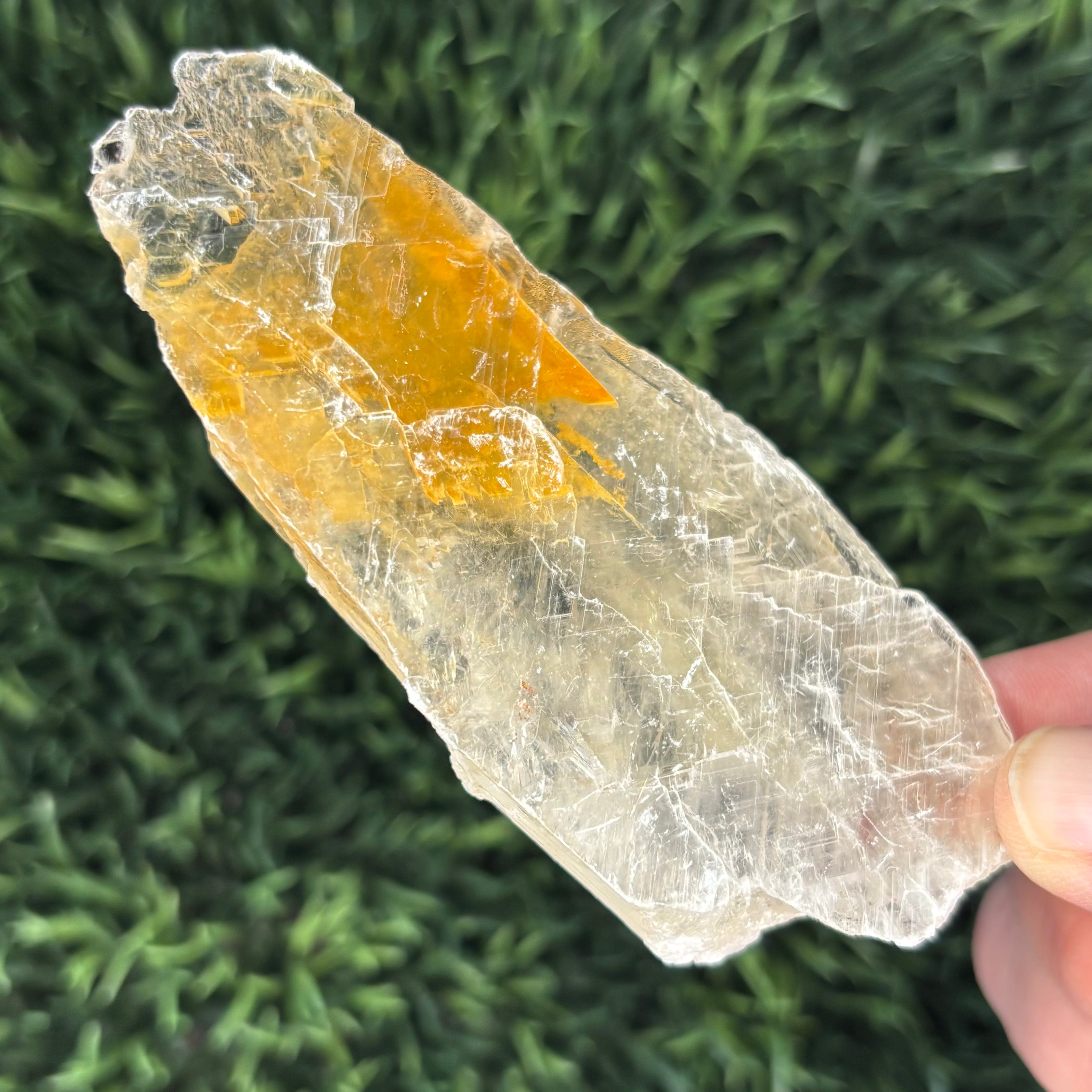 Golden Selenite Window - 573