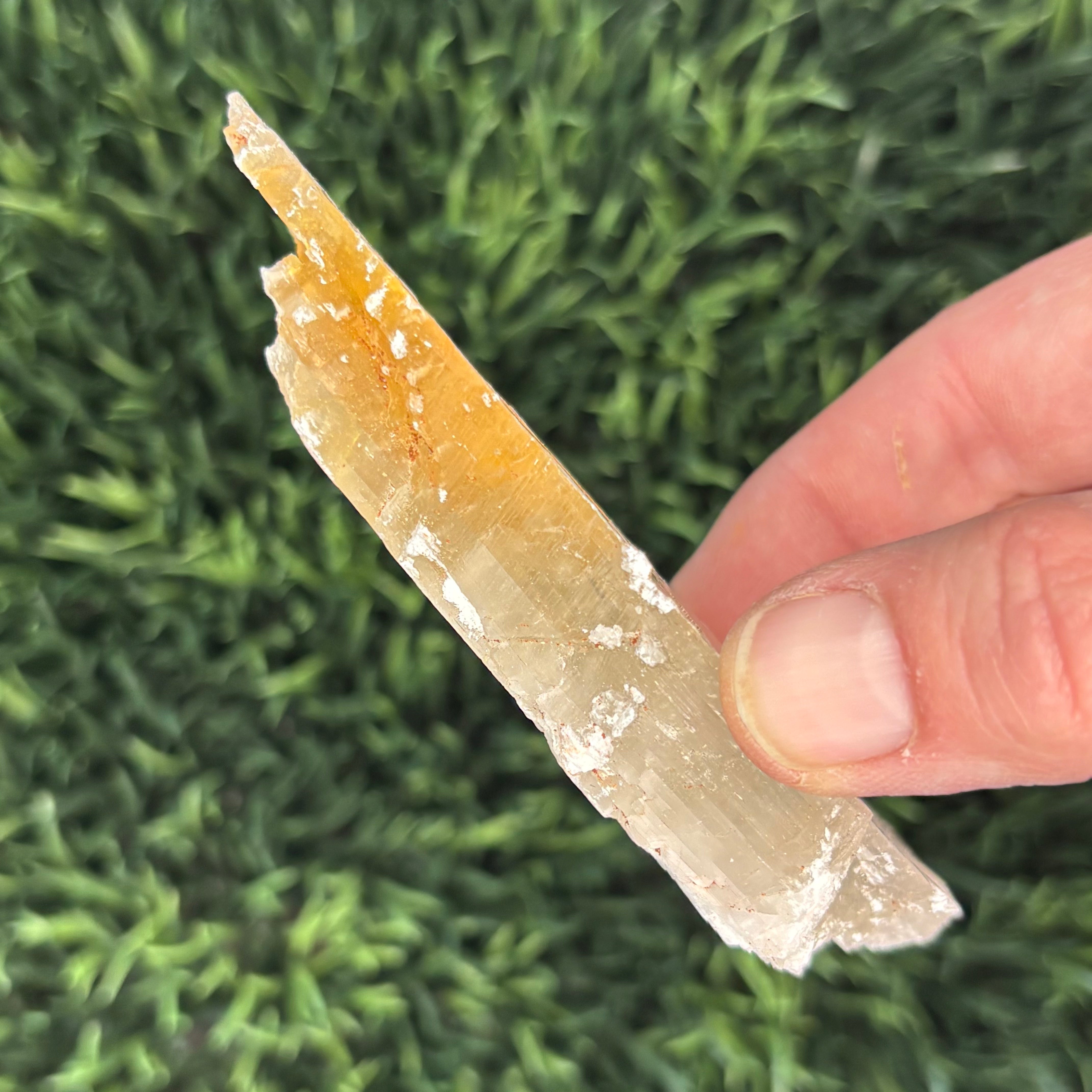Golden Selenite Window - 573