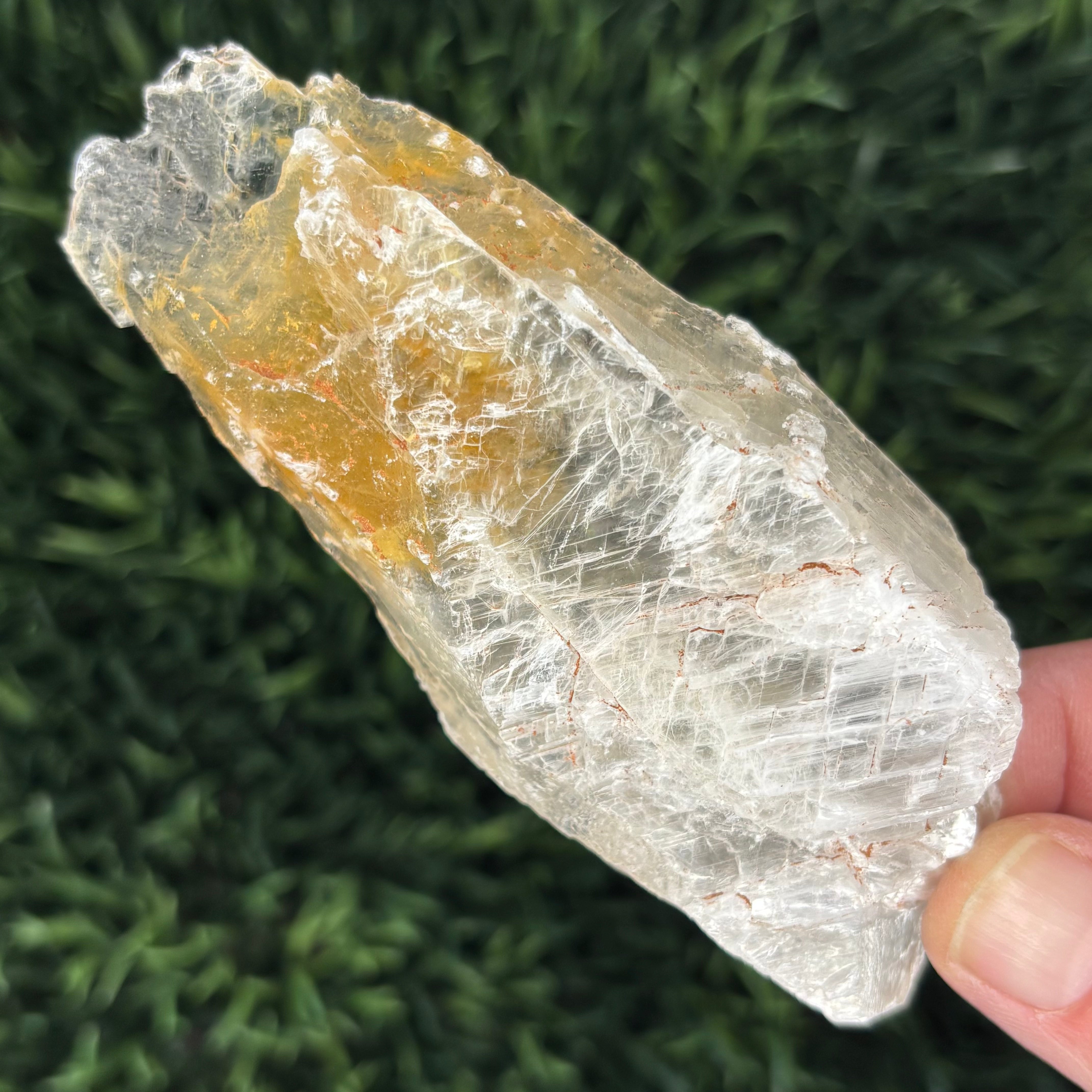 Golden Selenite Window - 573