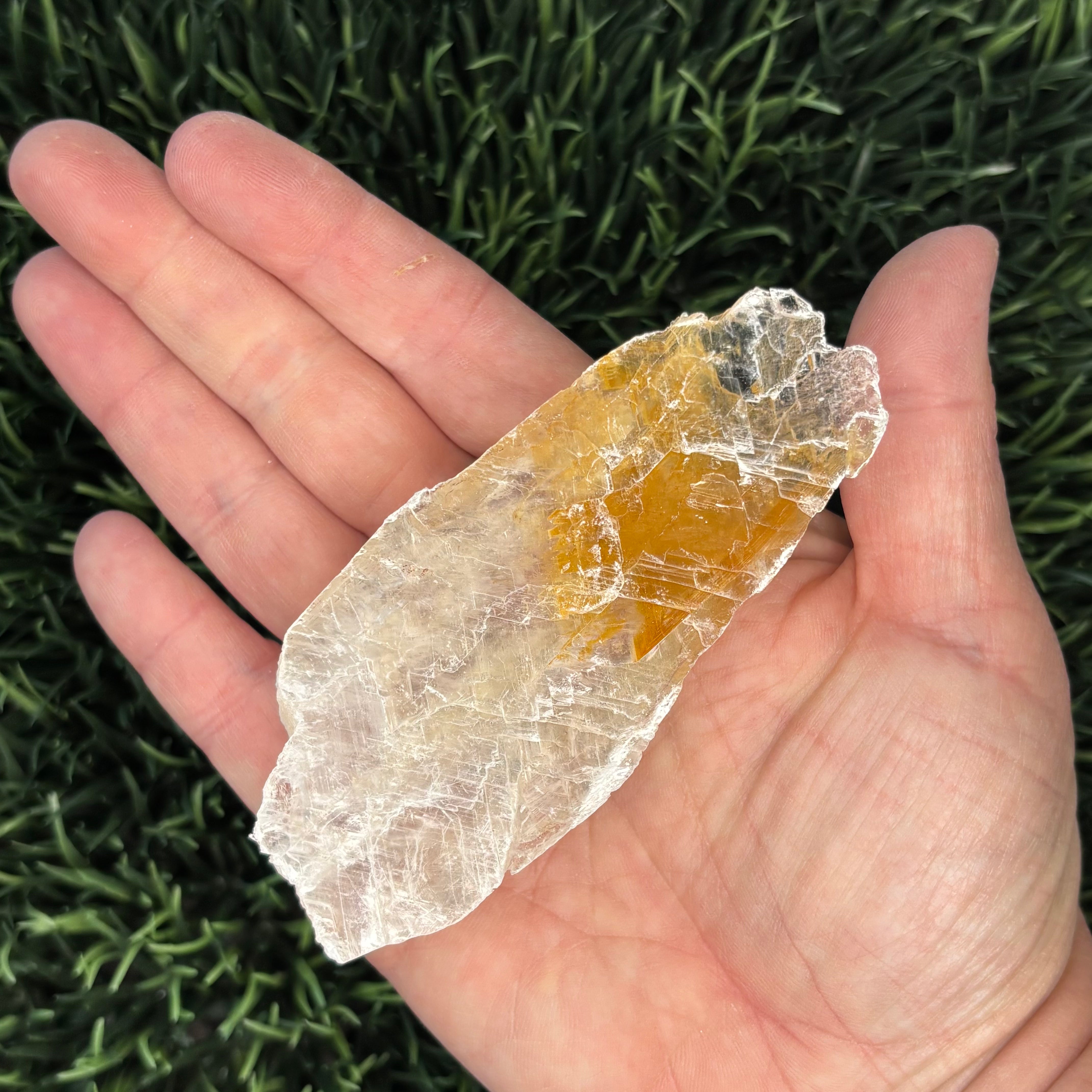 Golden Selenite Window - 573