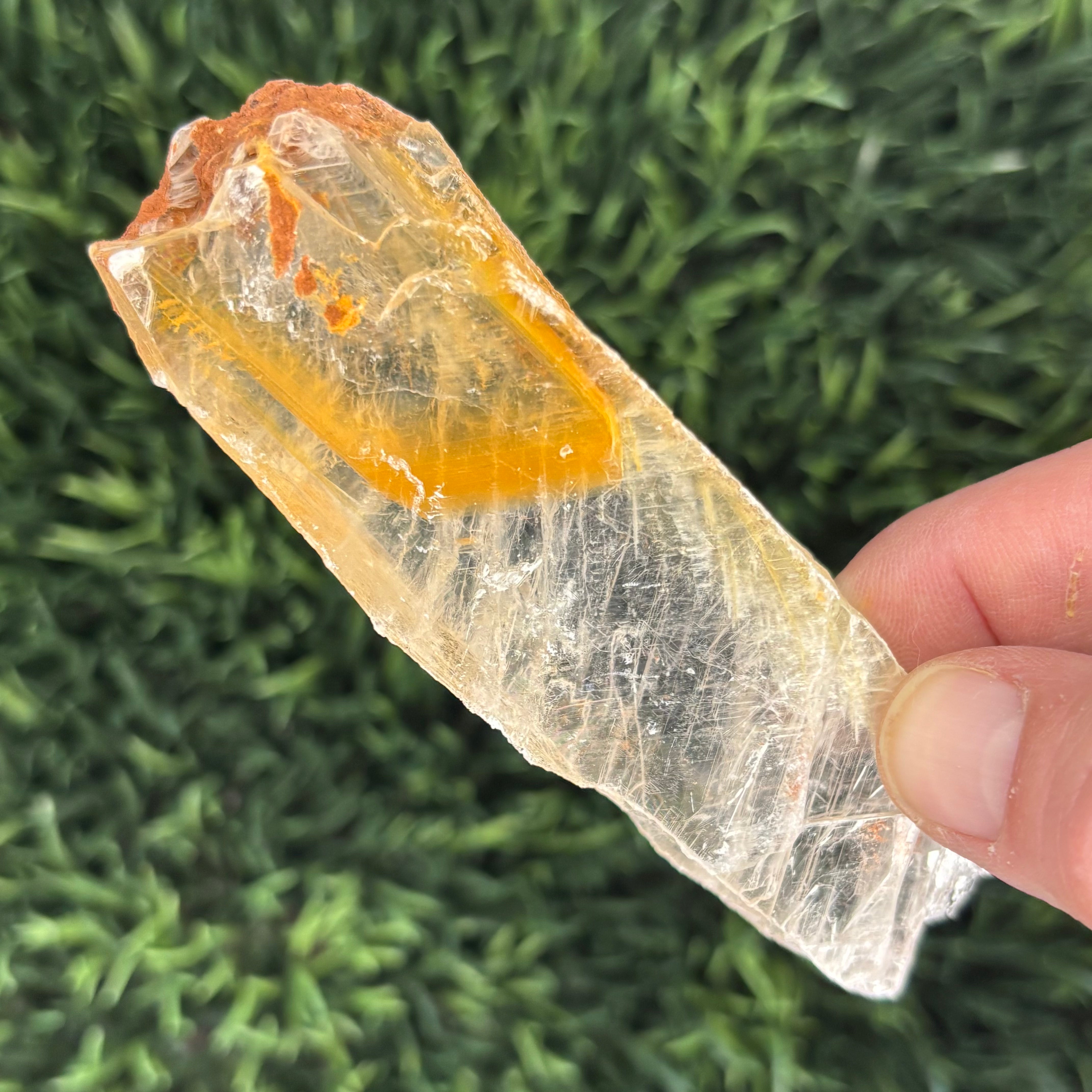 Golden Selenite Window - 574