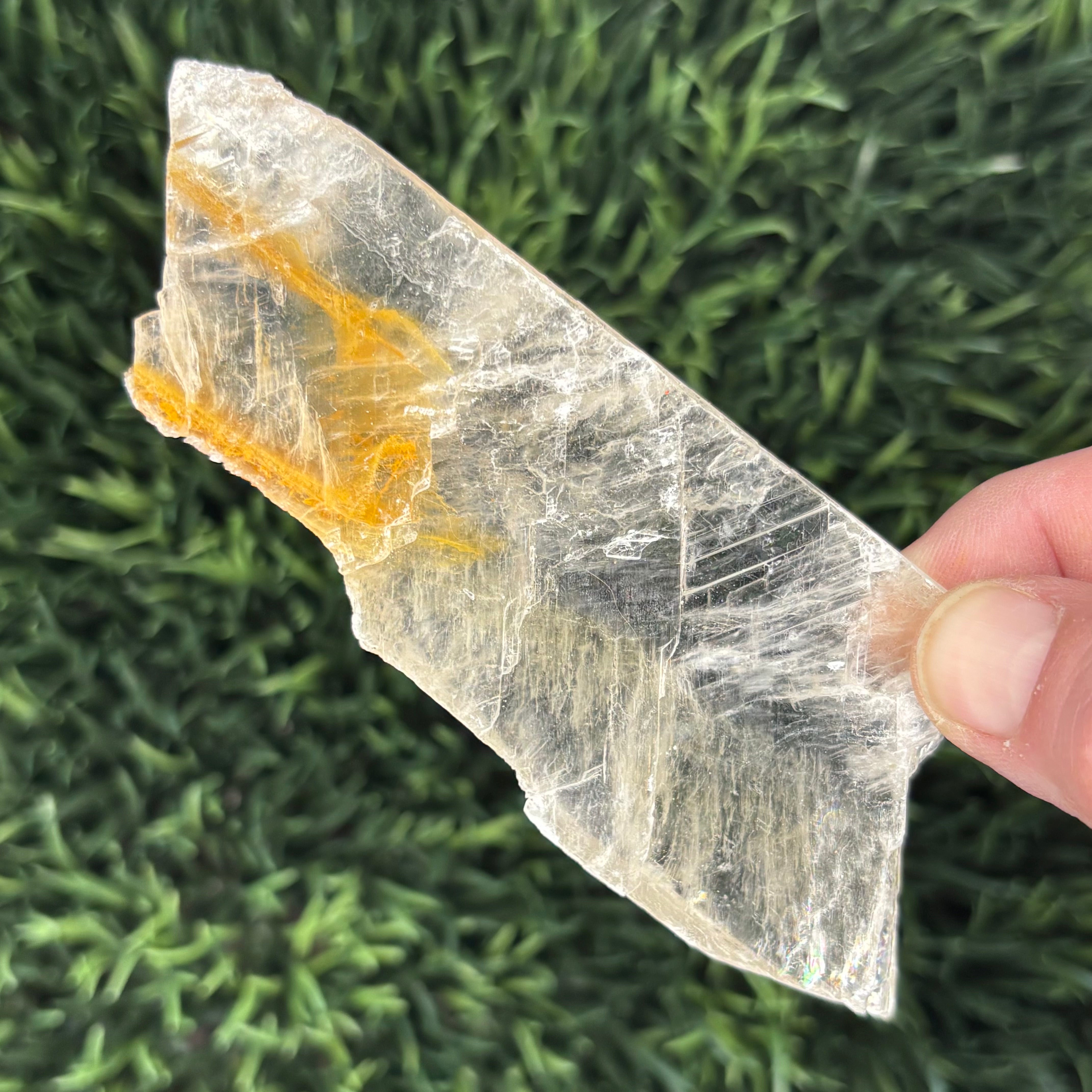 Golden Selenite Window - 575