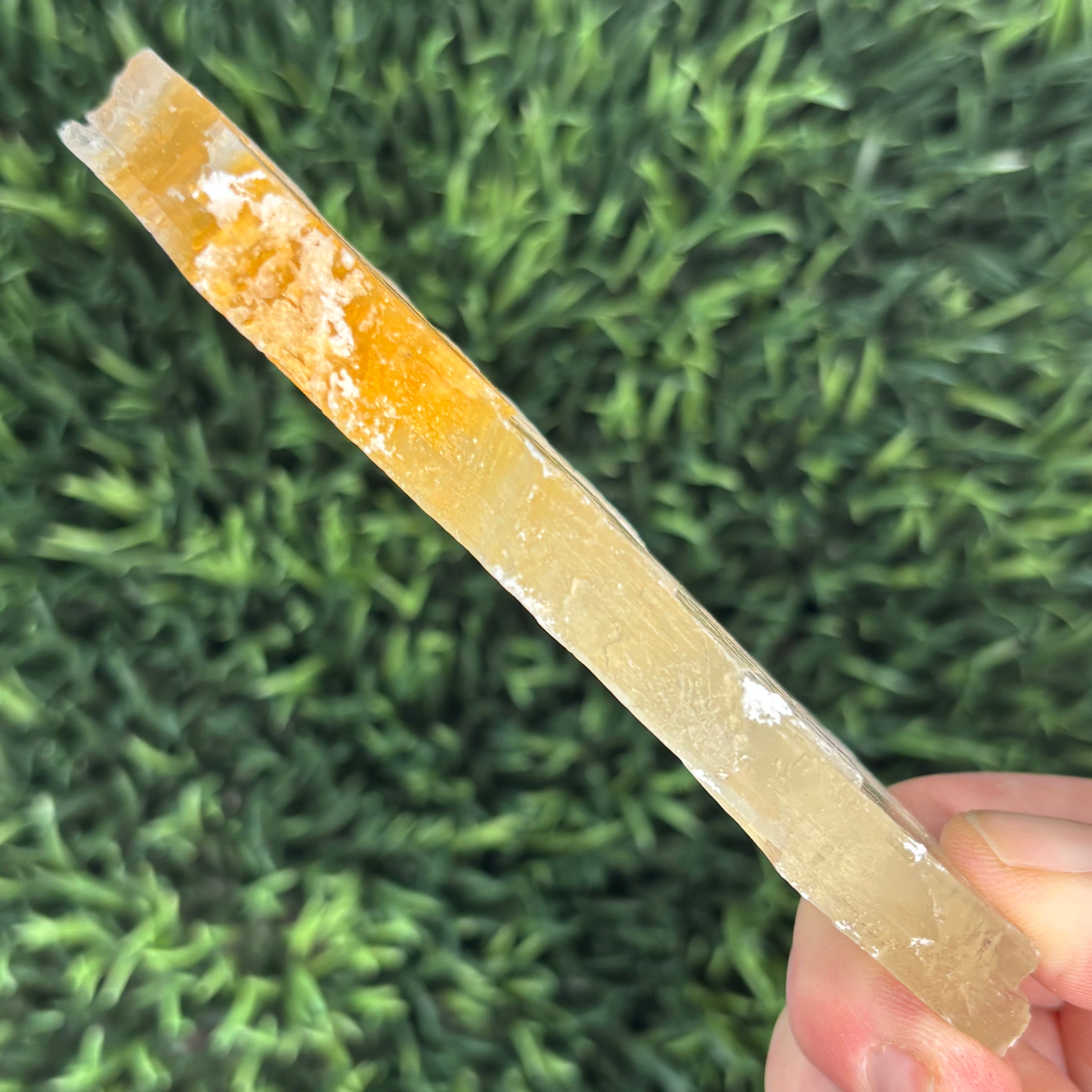 Golden Selenite Window - 575