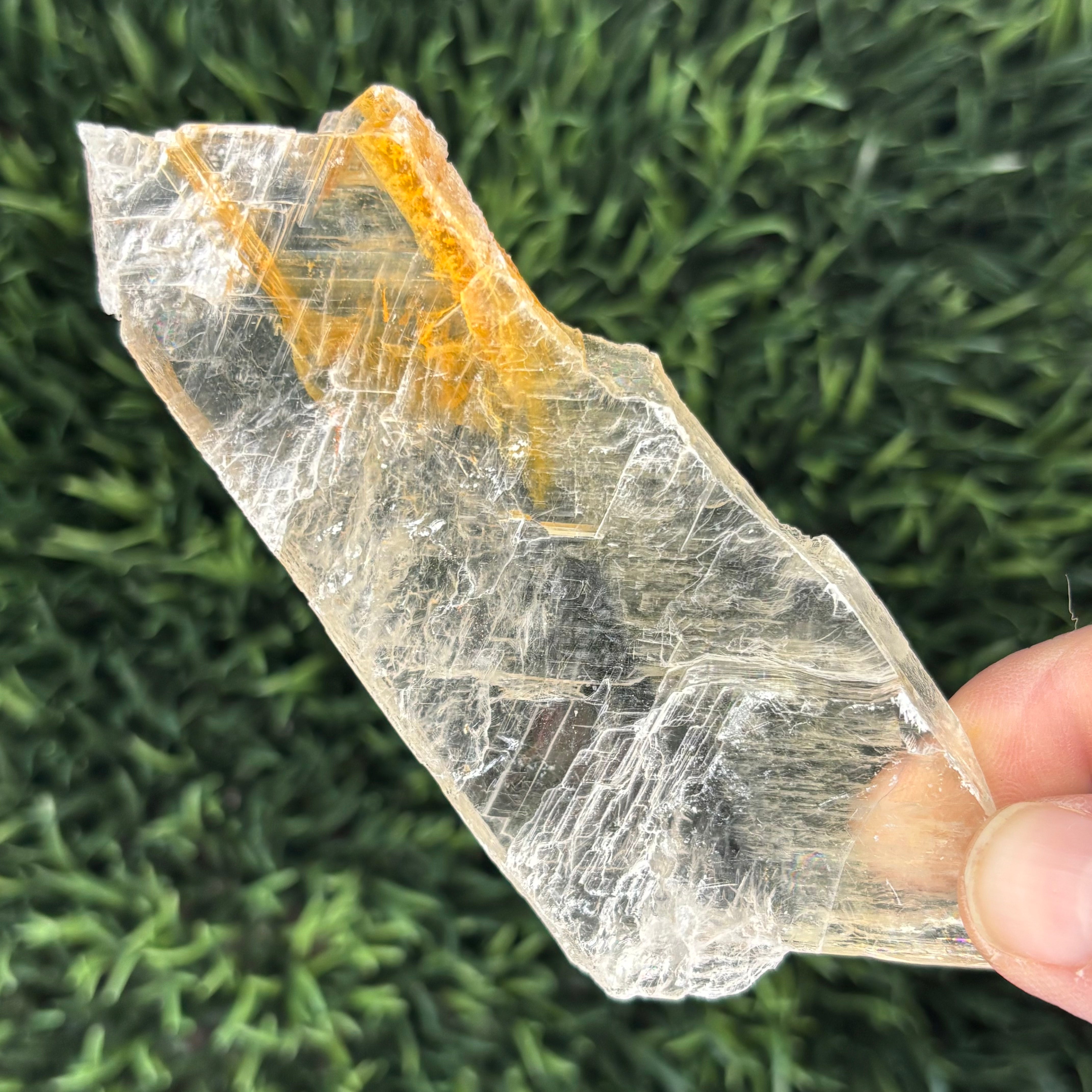 Golden Selenite Window - 575