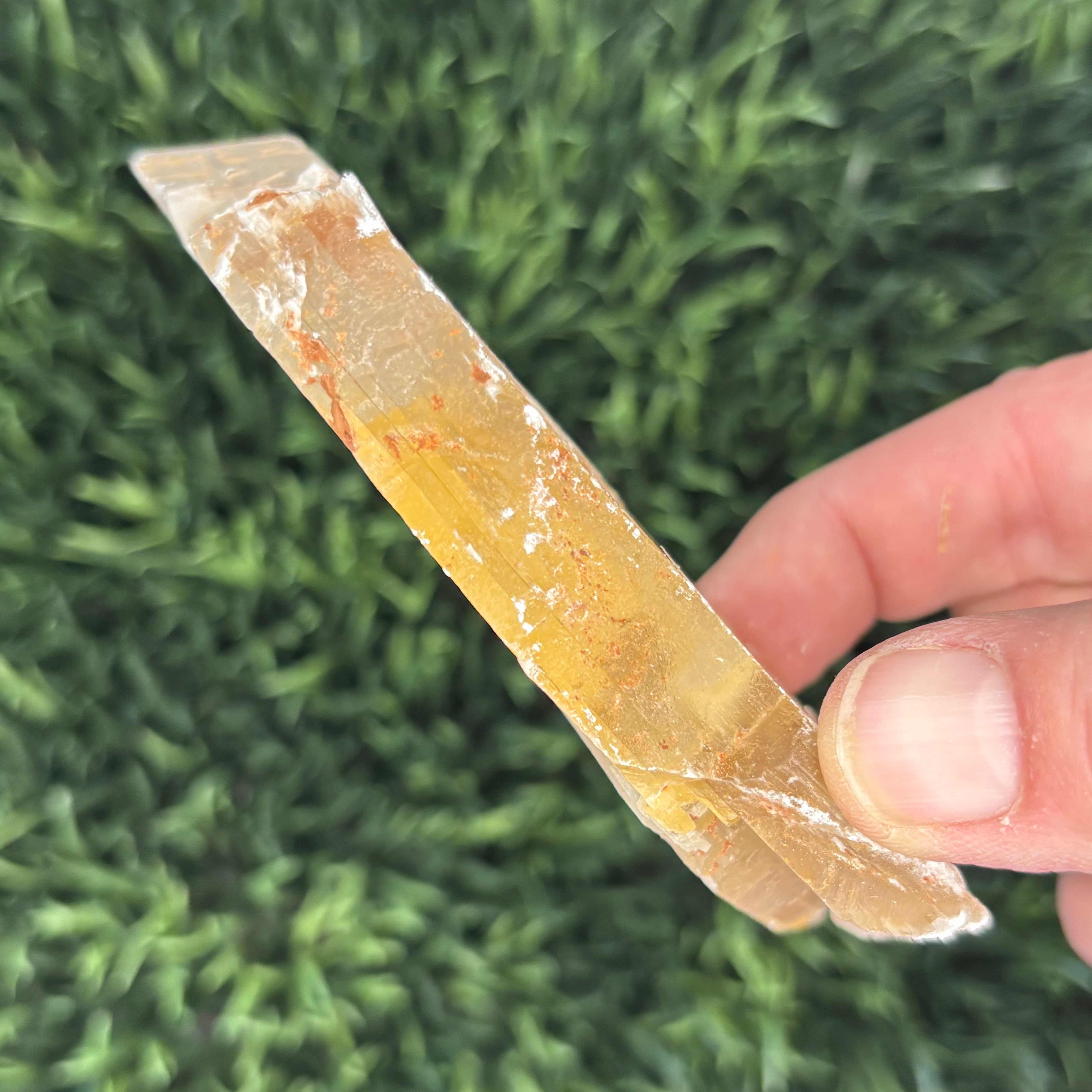 Golden Selenite Window - 577