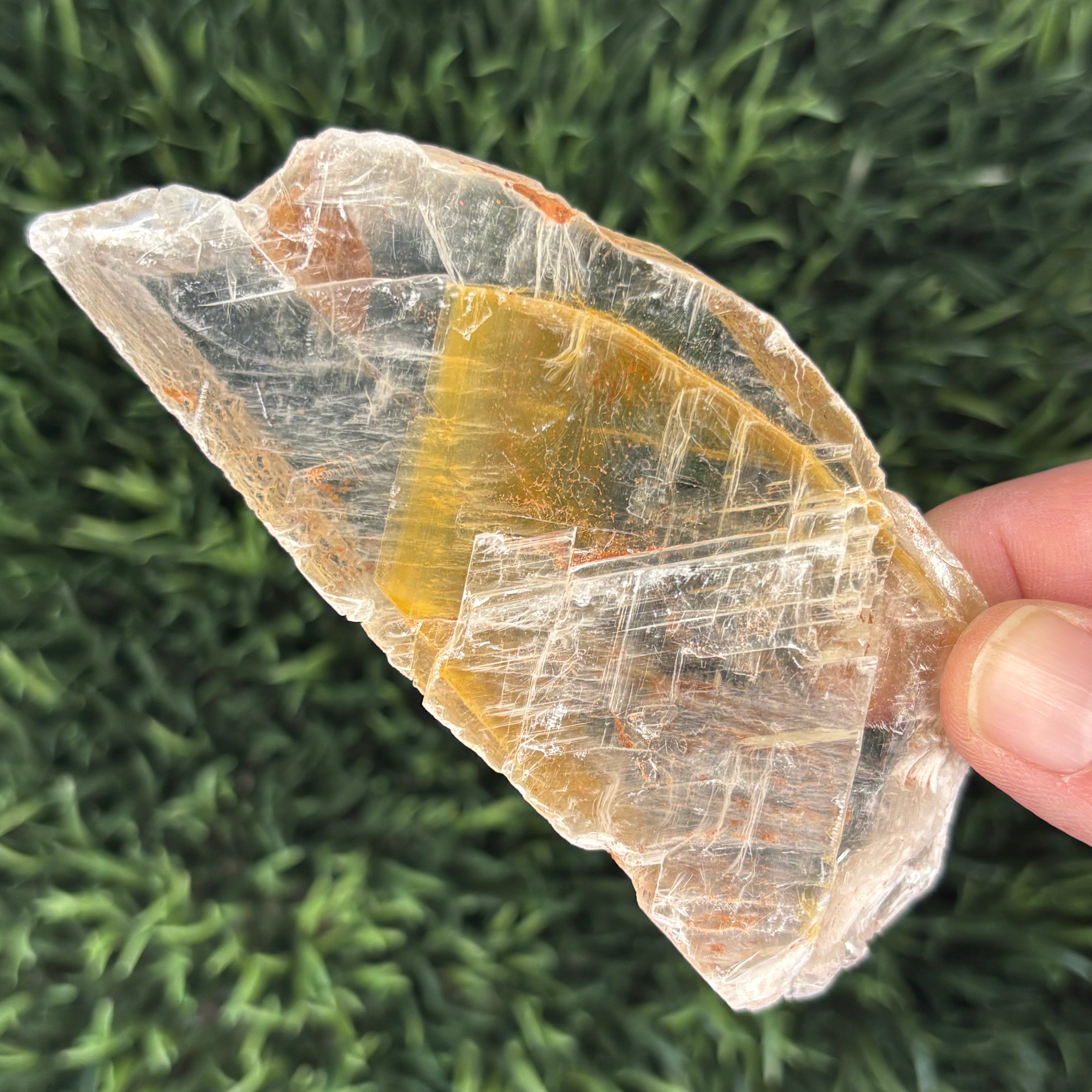 Golden Selenite Window - 577