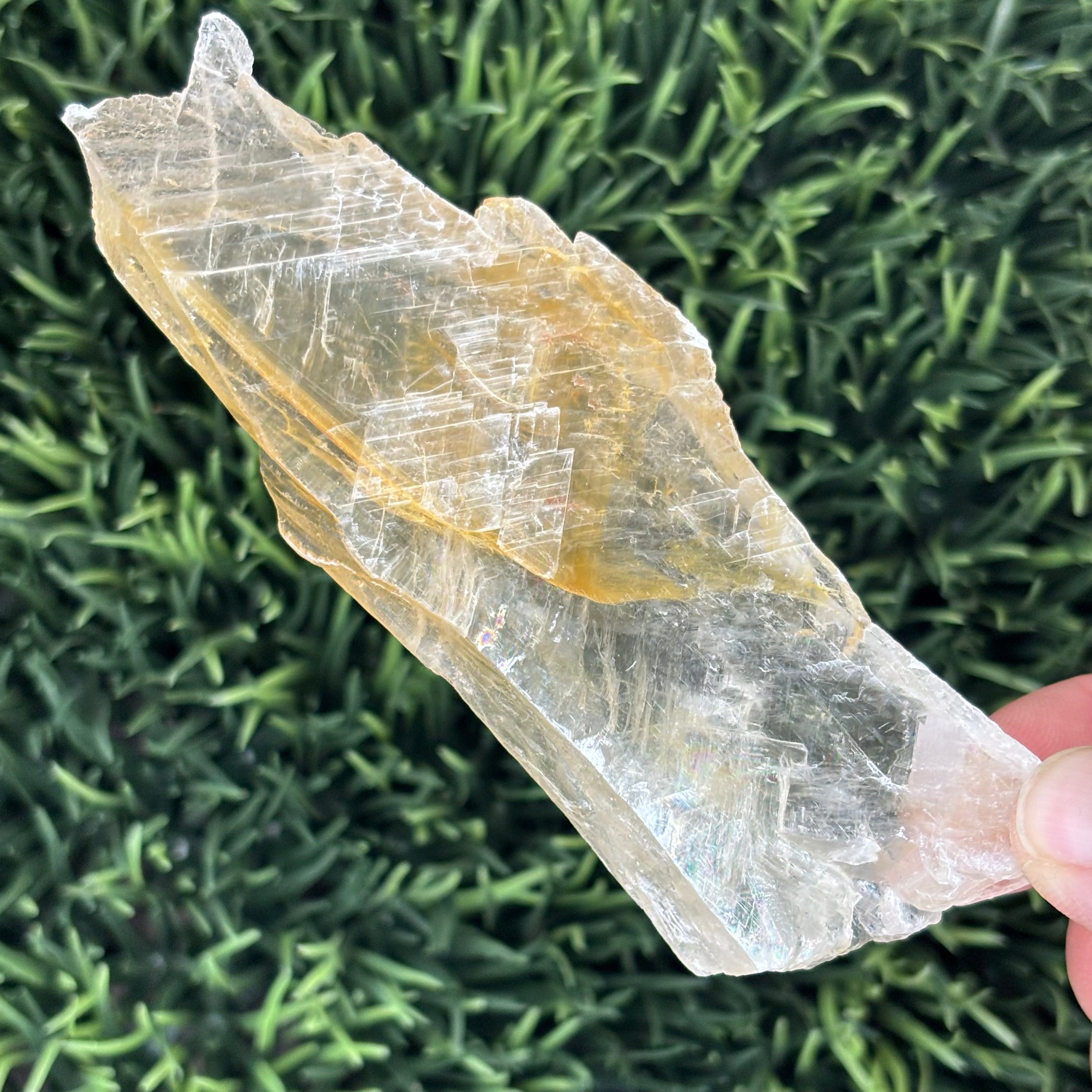 Golden Selenite Window - 578