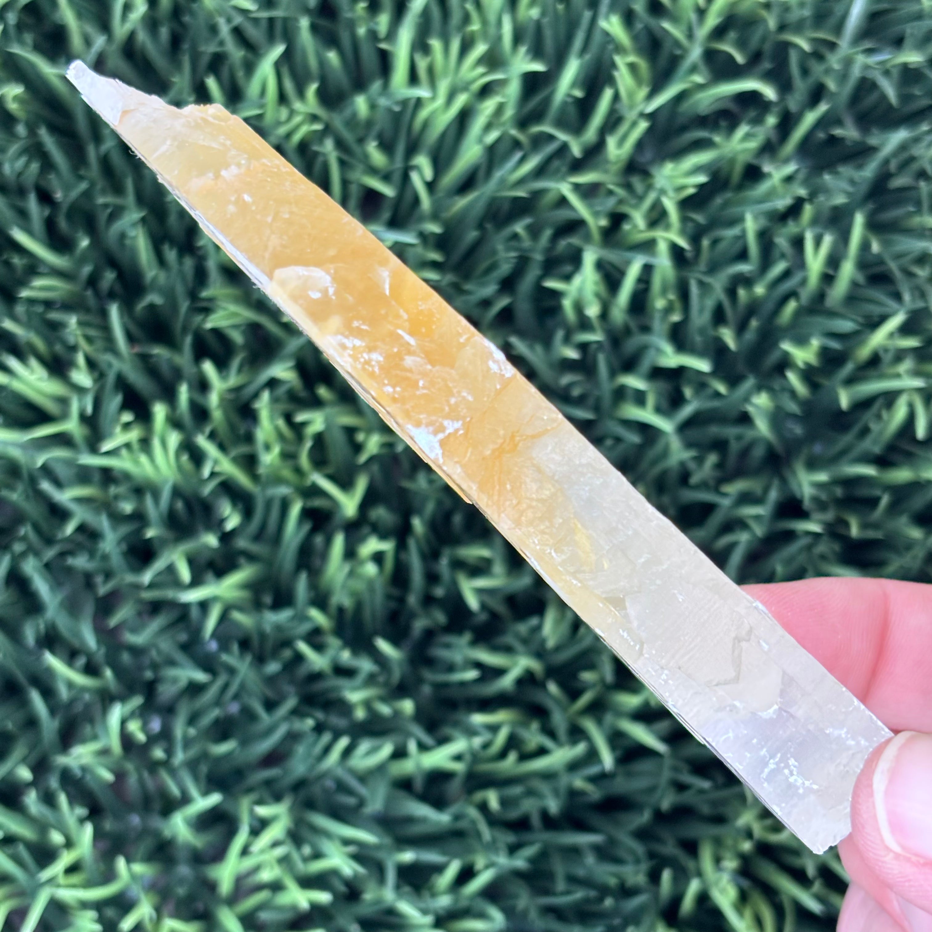 Golden Selenite Window - 578