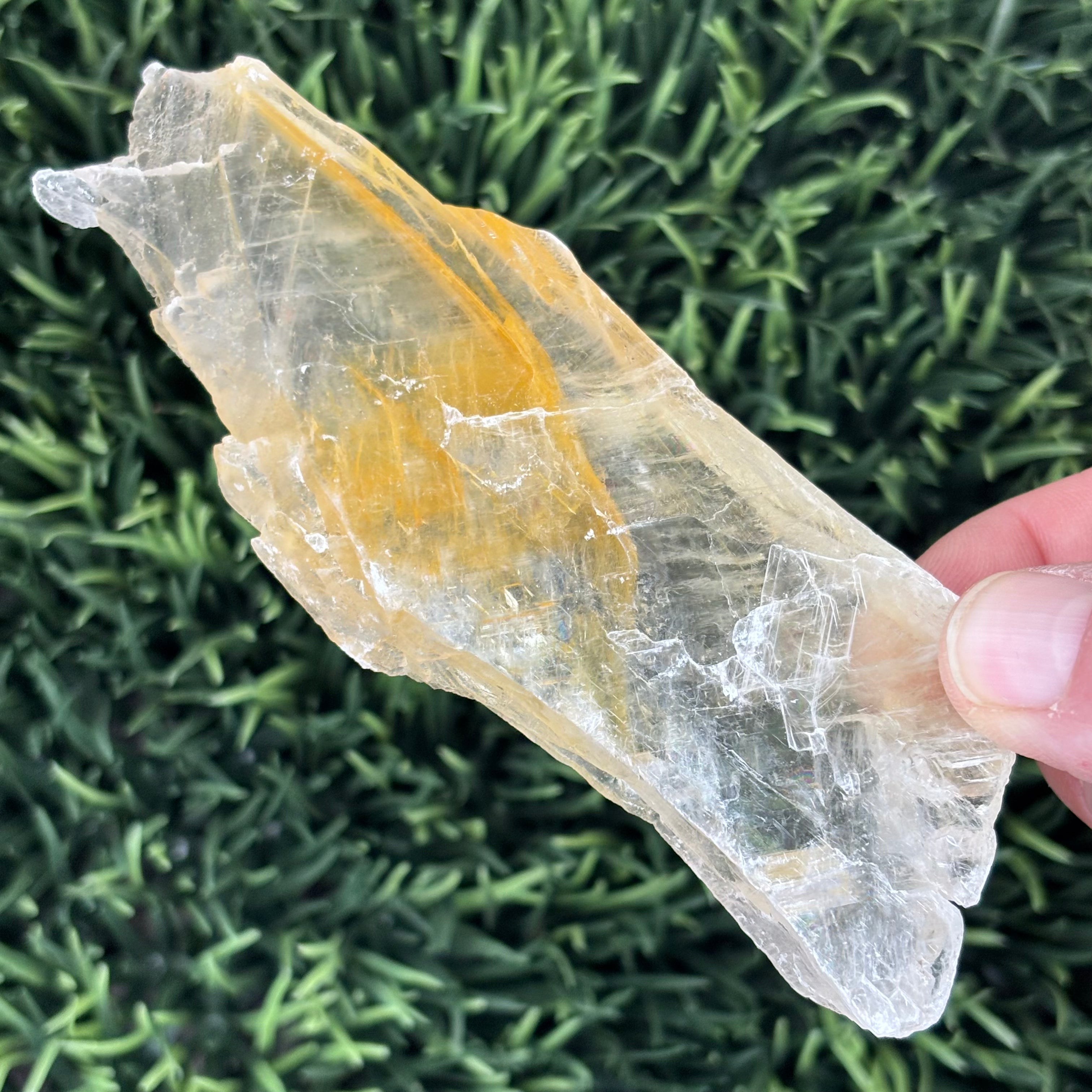 Golden Selenite Window - 578