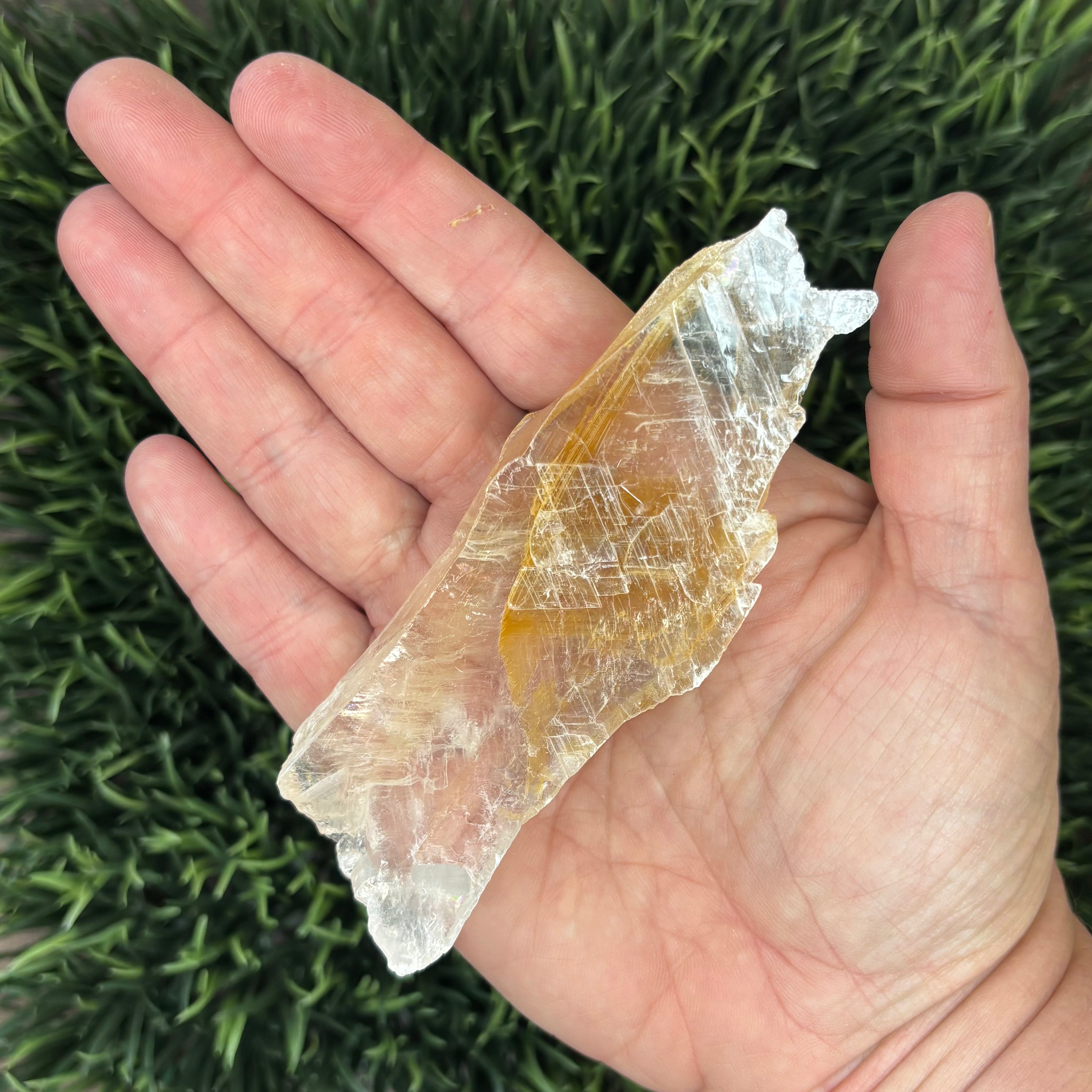 Golden Selenite Window - 578