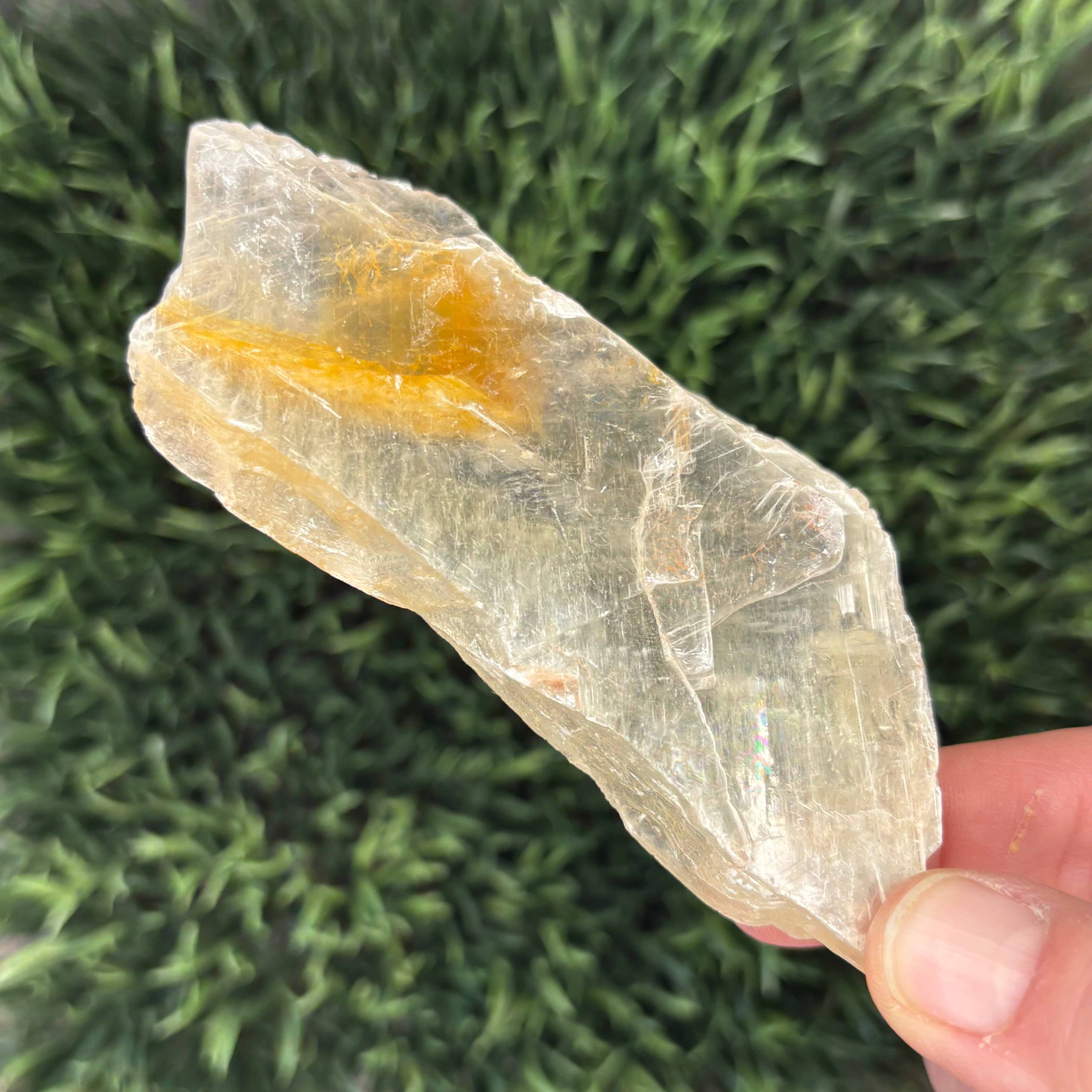 Golden Selenite Window - 579