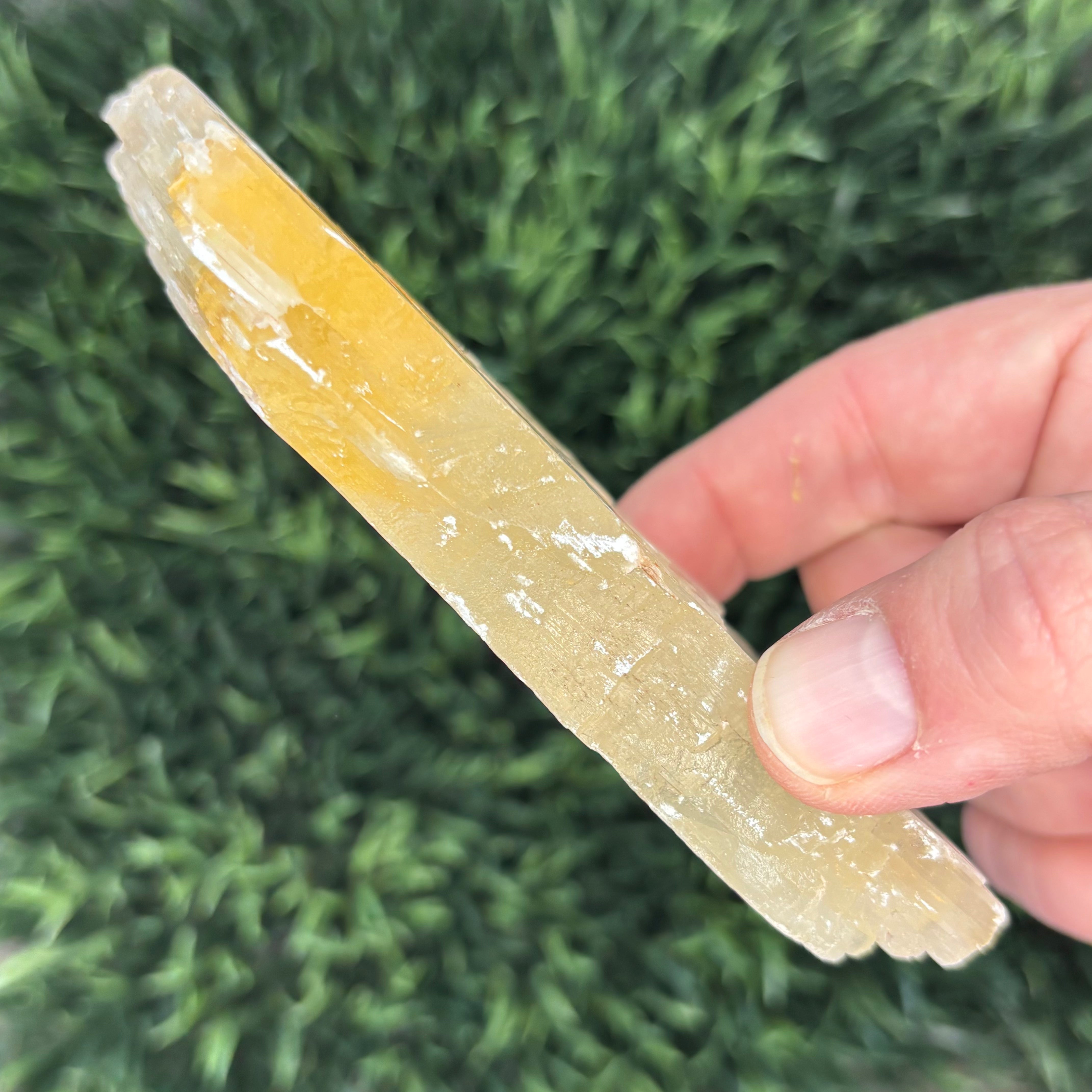 Golden Selenite Window - 579