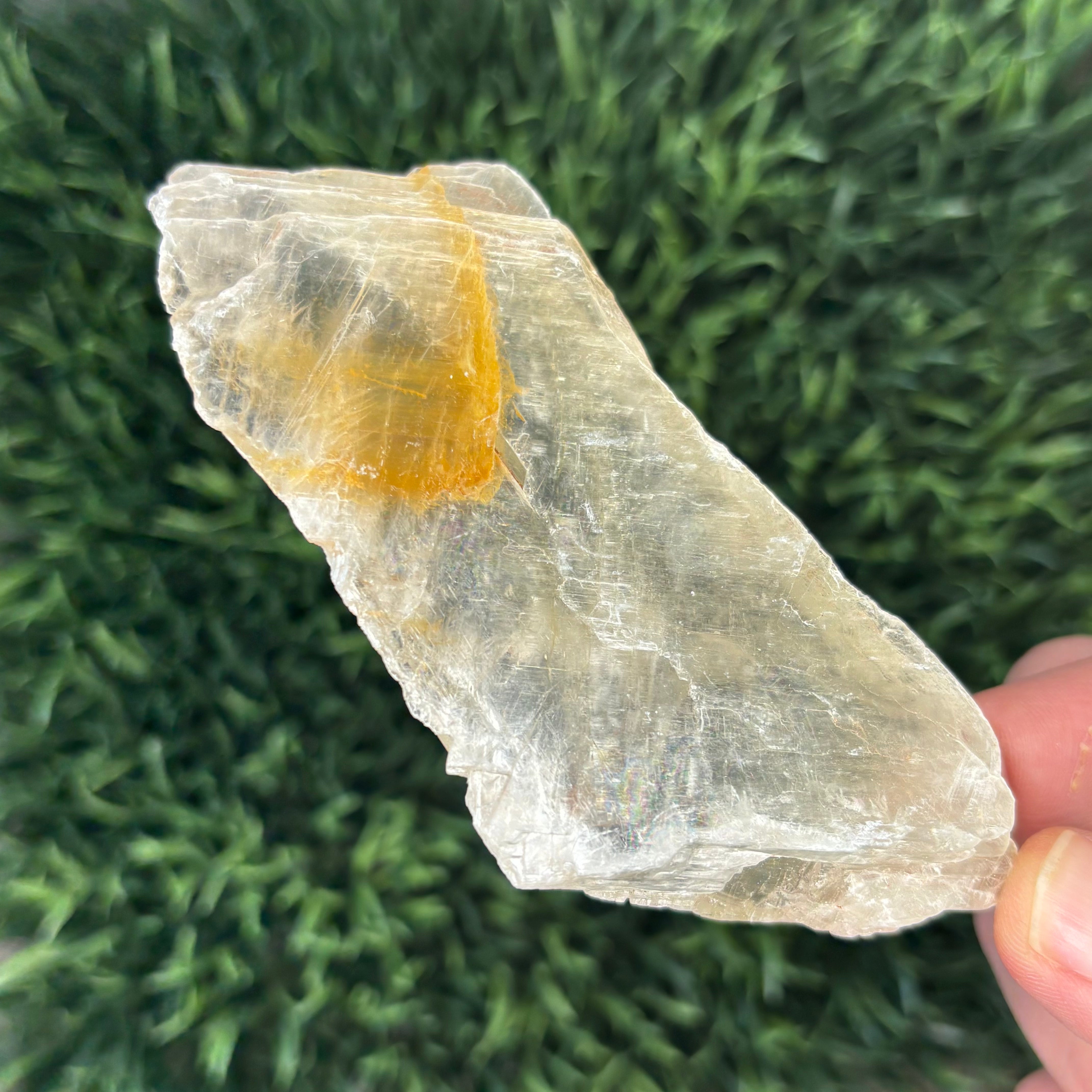 Golden Selenite Window - 579