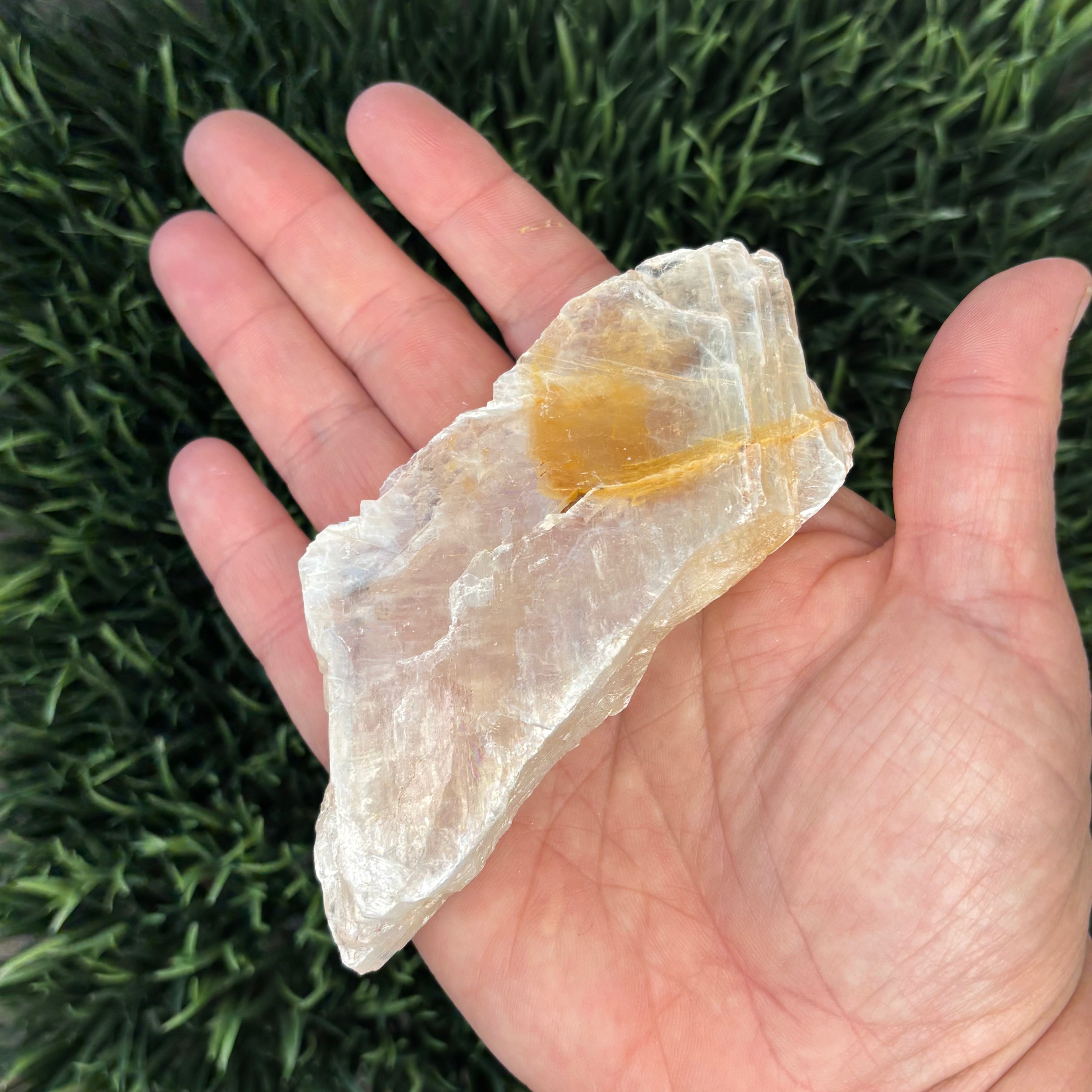Golden Selenite Window - 579