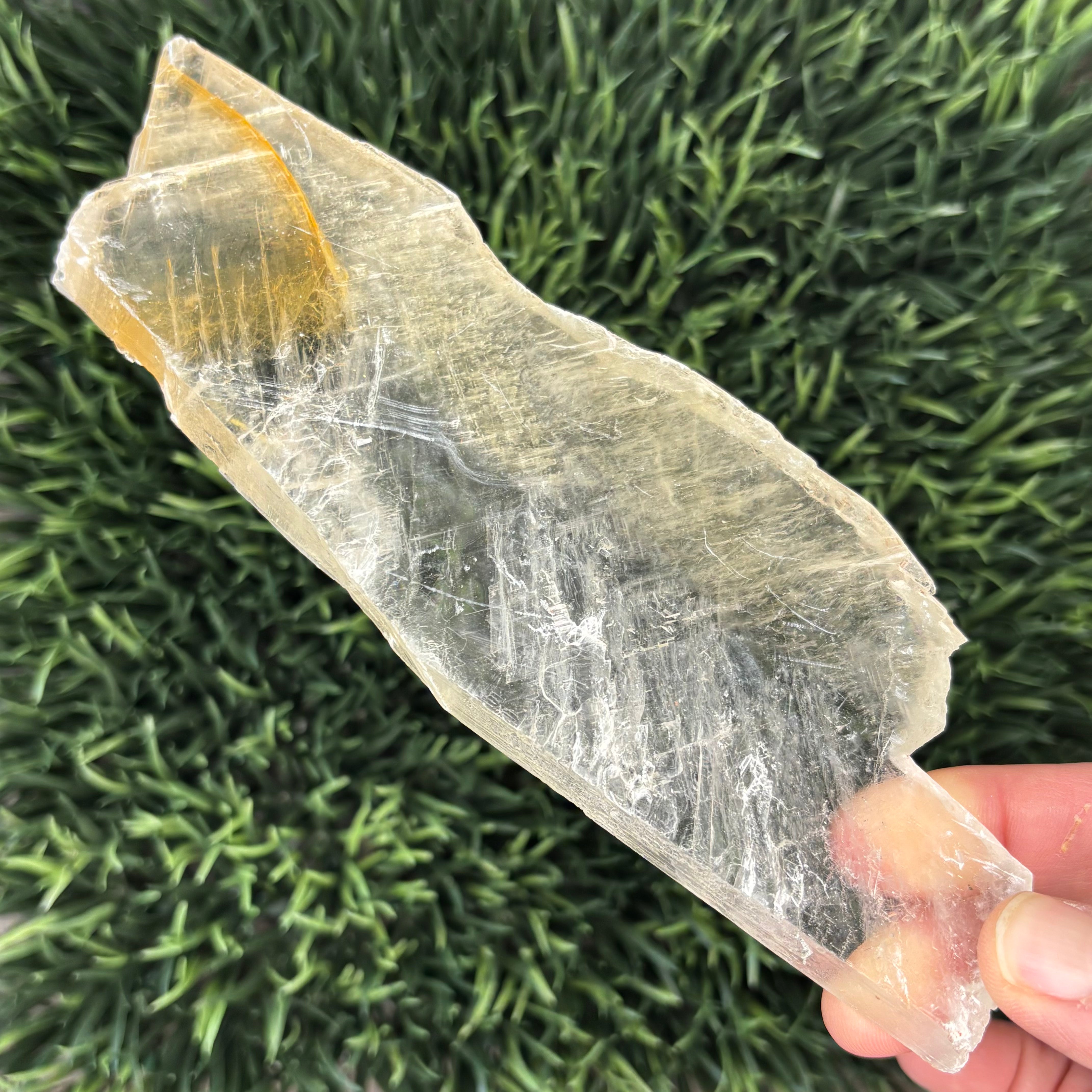 Golden Selenite Window - 580