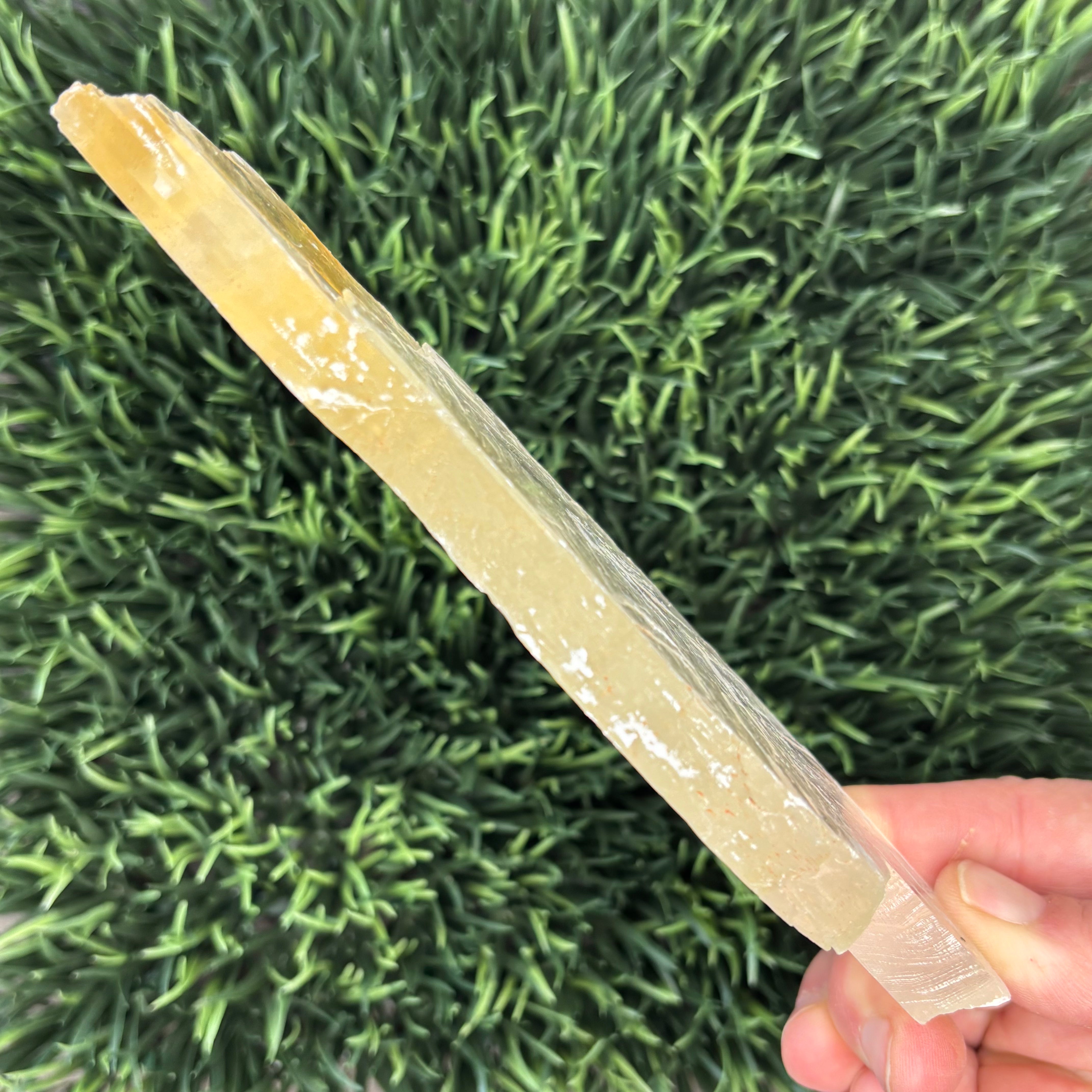 Golden Selenite Window - 580