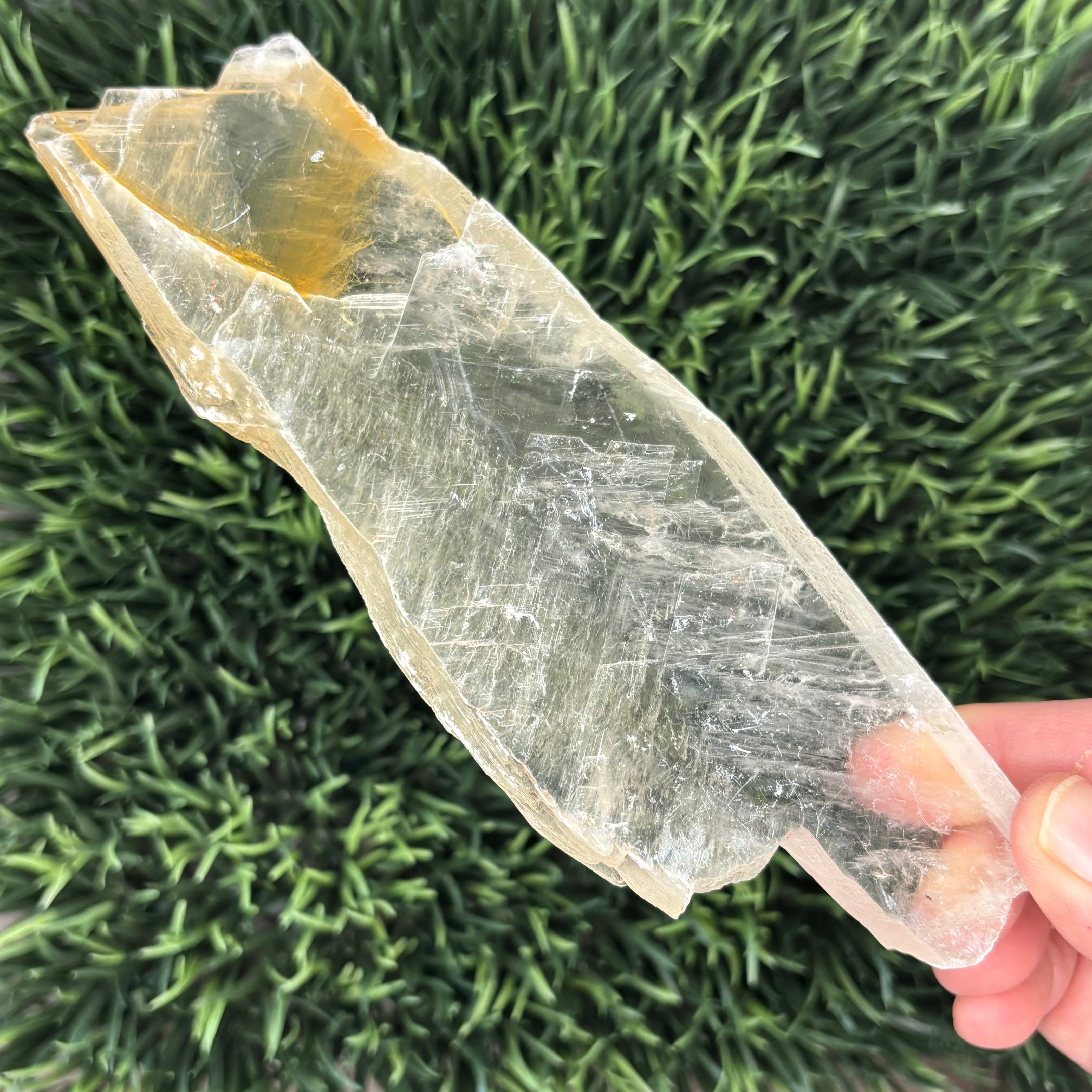 Golden Selenite Window - 580