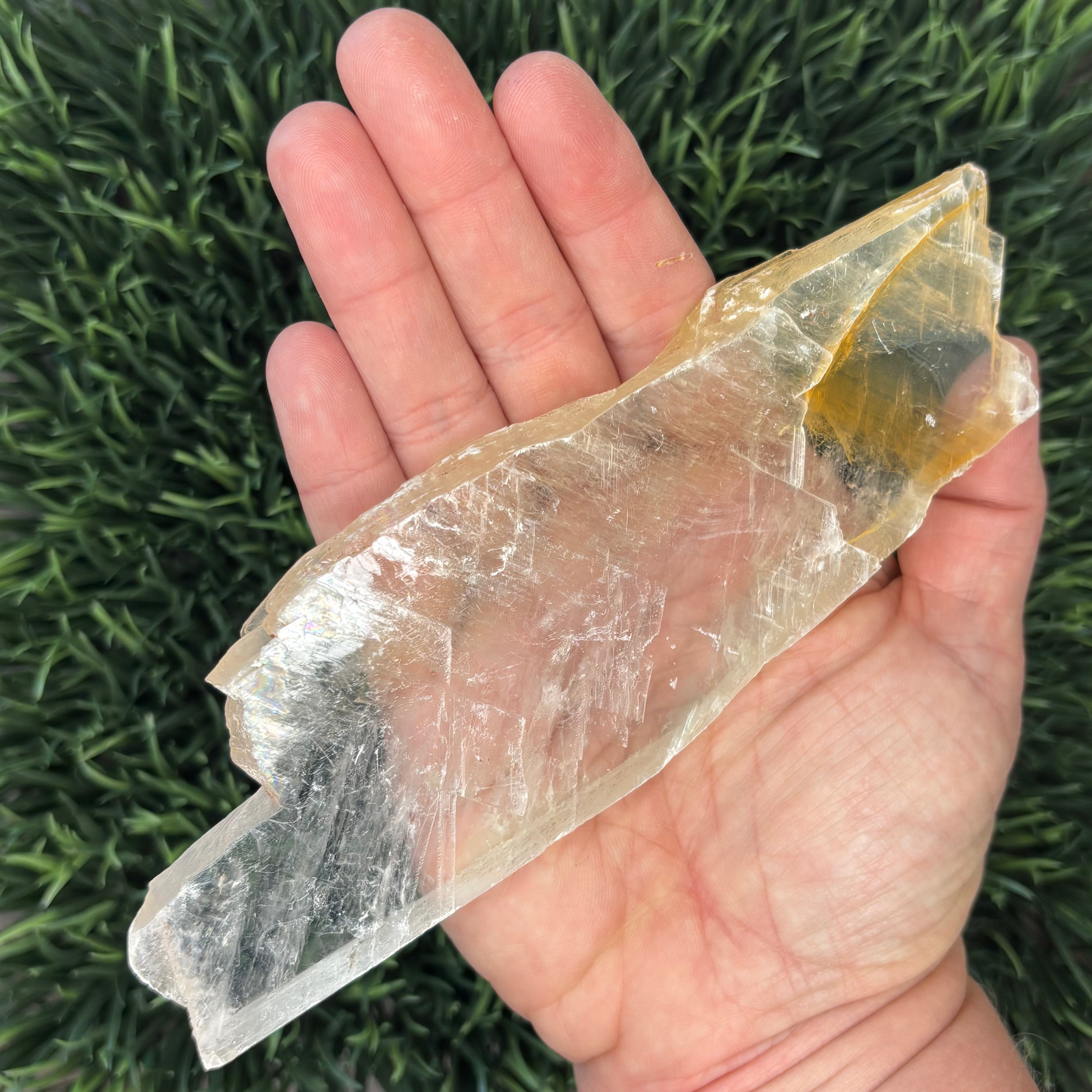 Golden Selenite Window - 580
