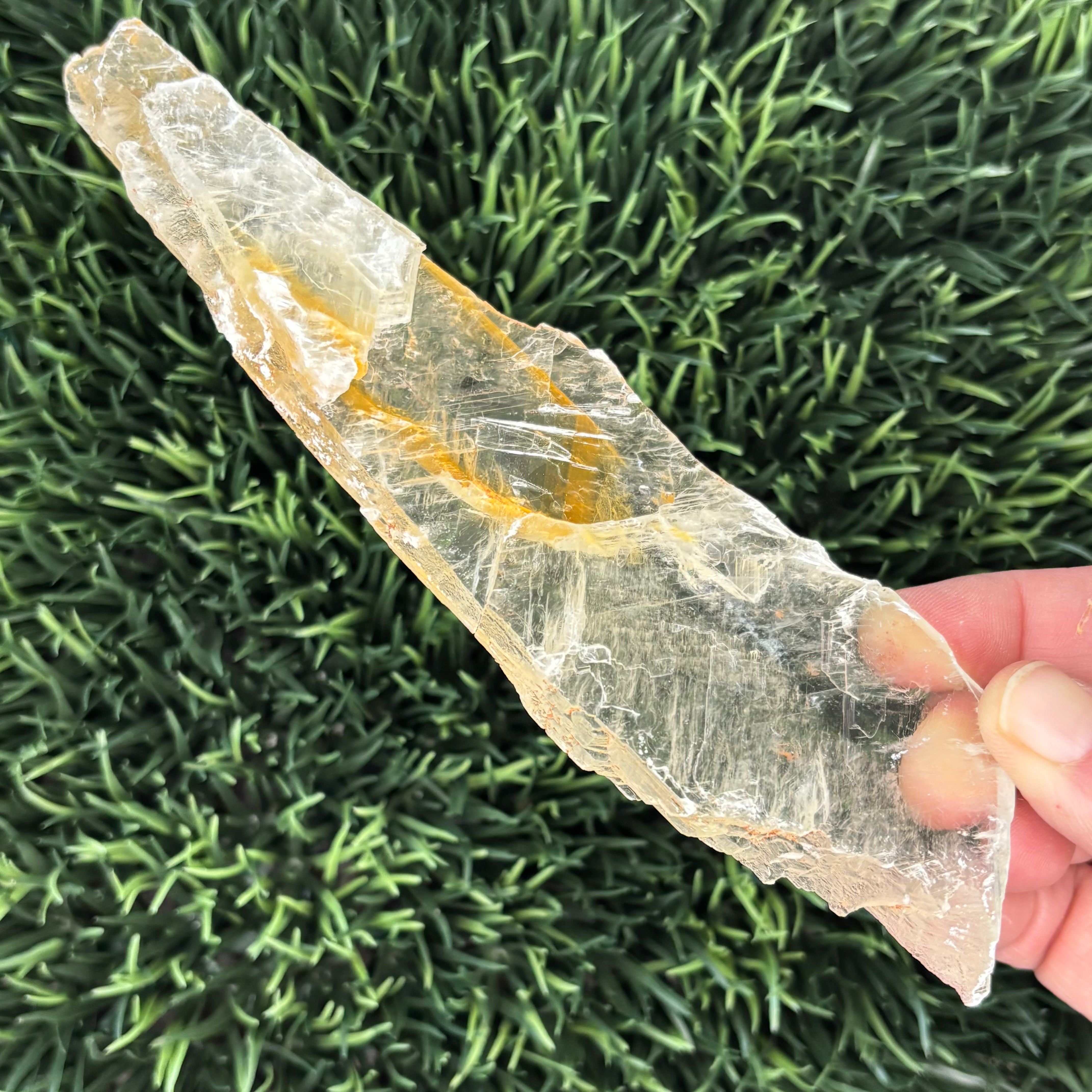 Golden Selenite Window - 581