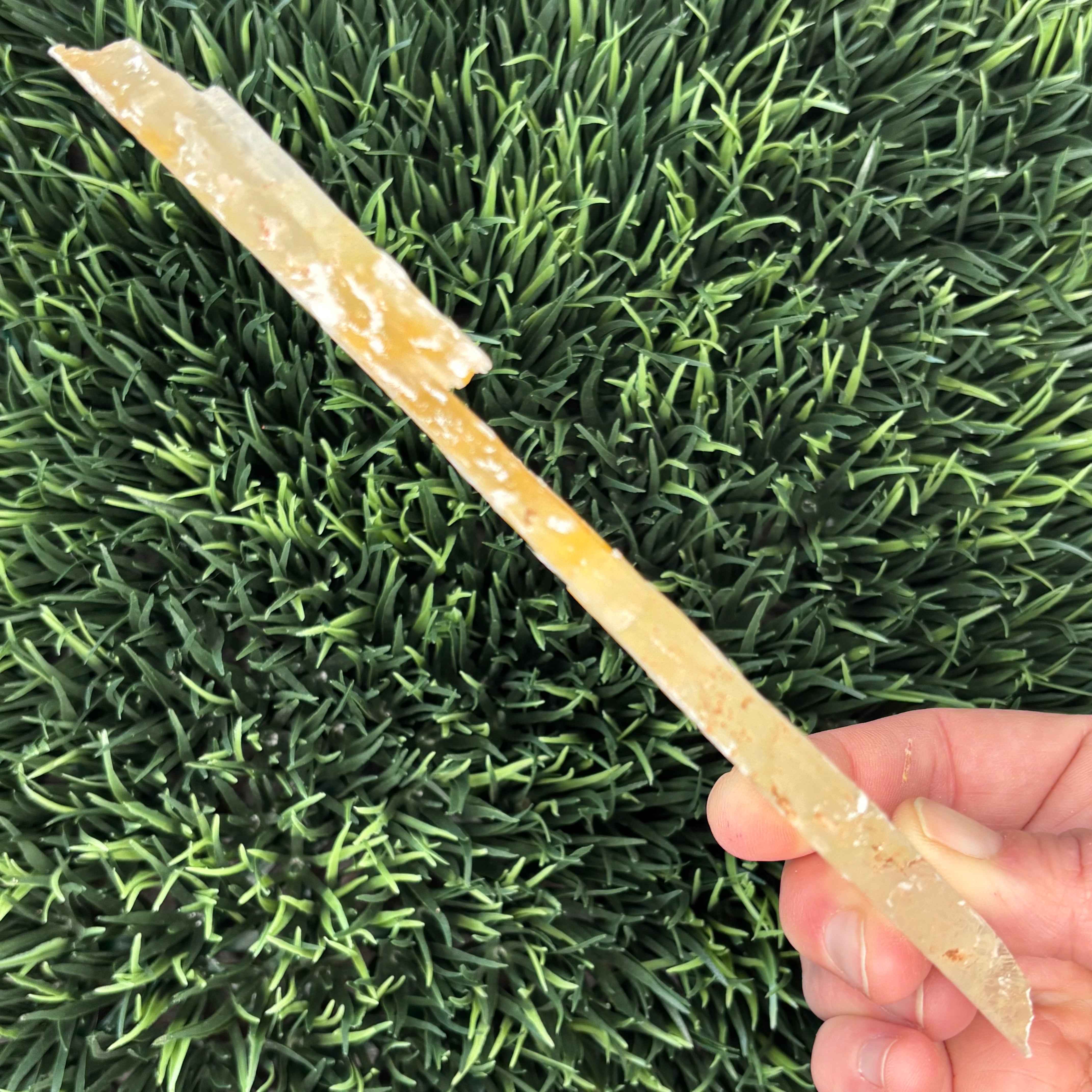 Golden Selenite Window - 581