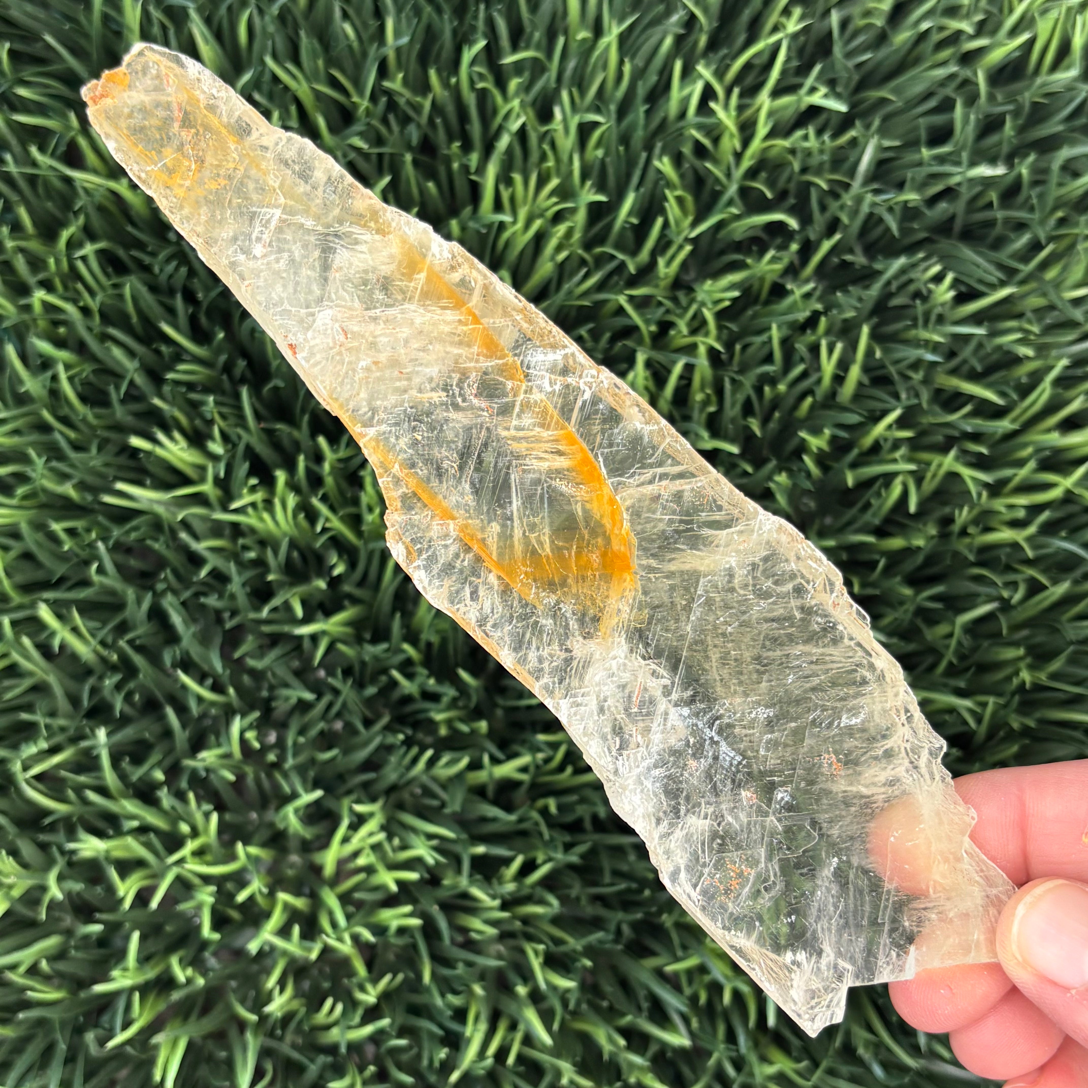 Golden Selenite Window - 581