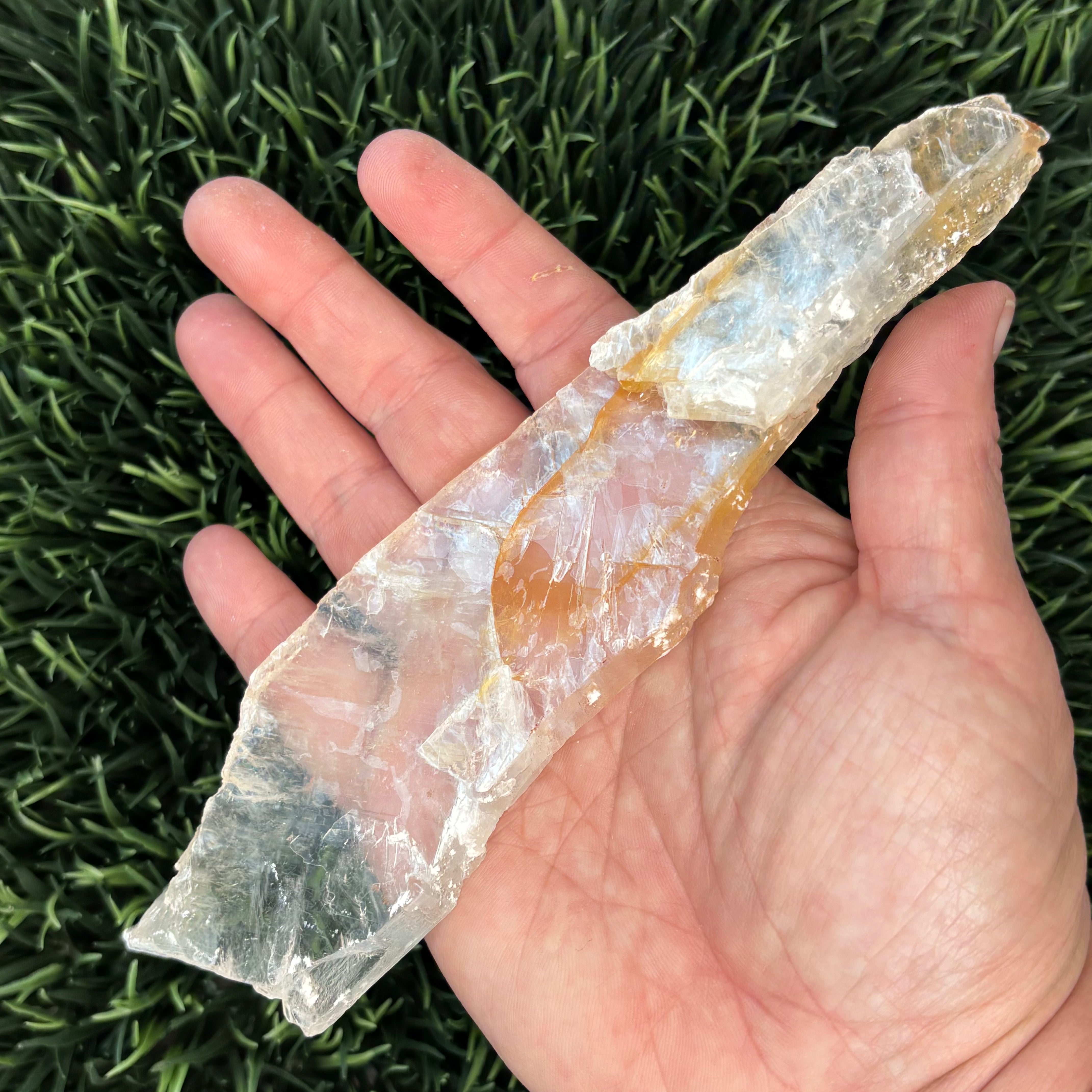 Golden Selenite Window - 581