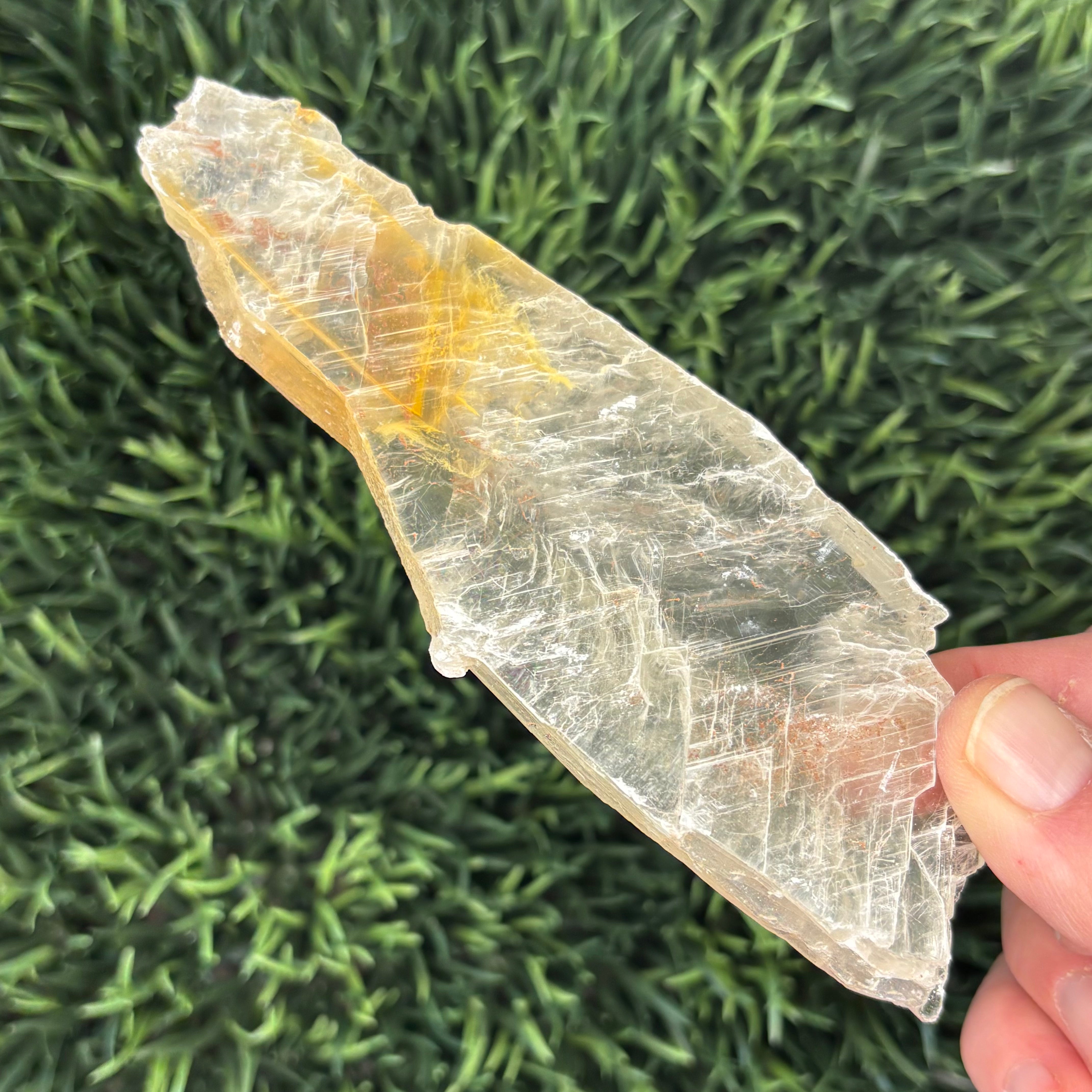 Golden Selenite Window - 582