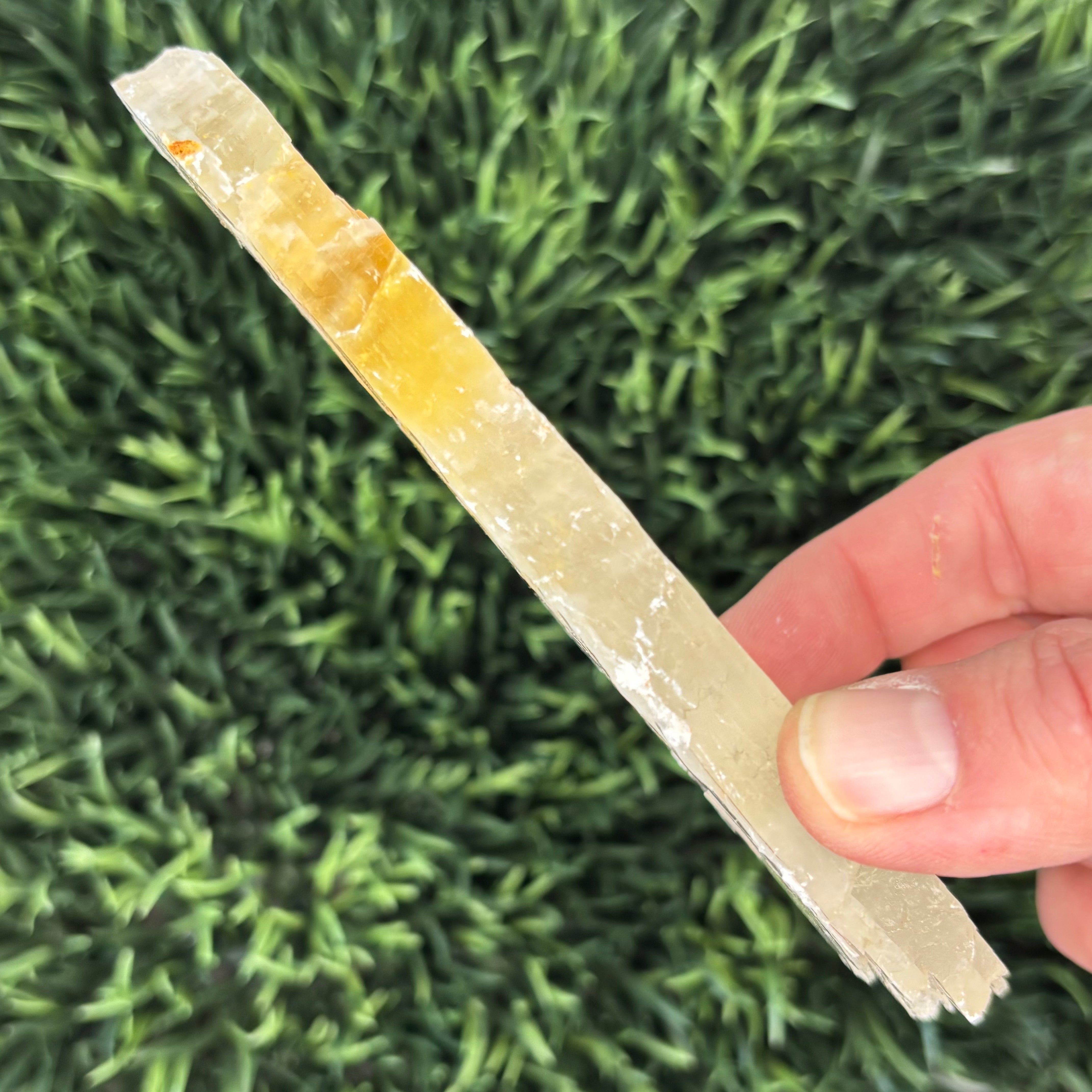 Golden Selenite Window - 582