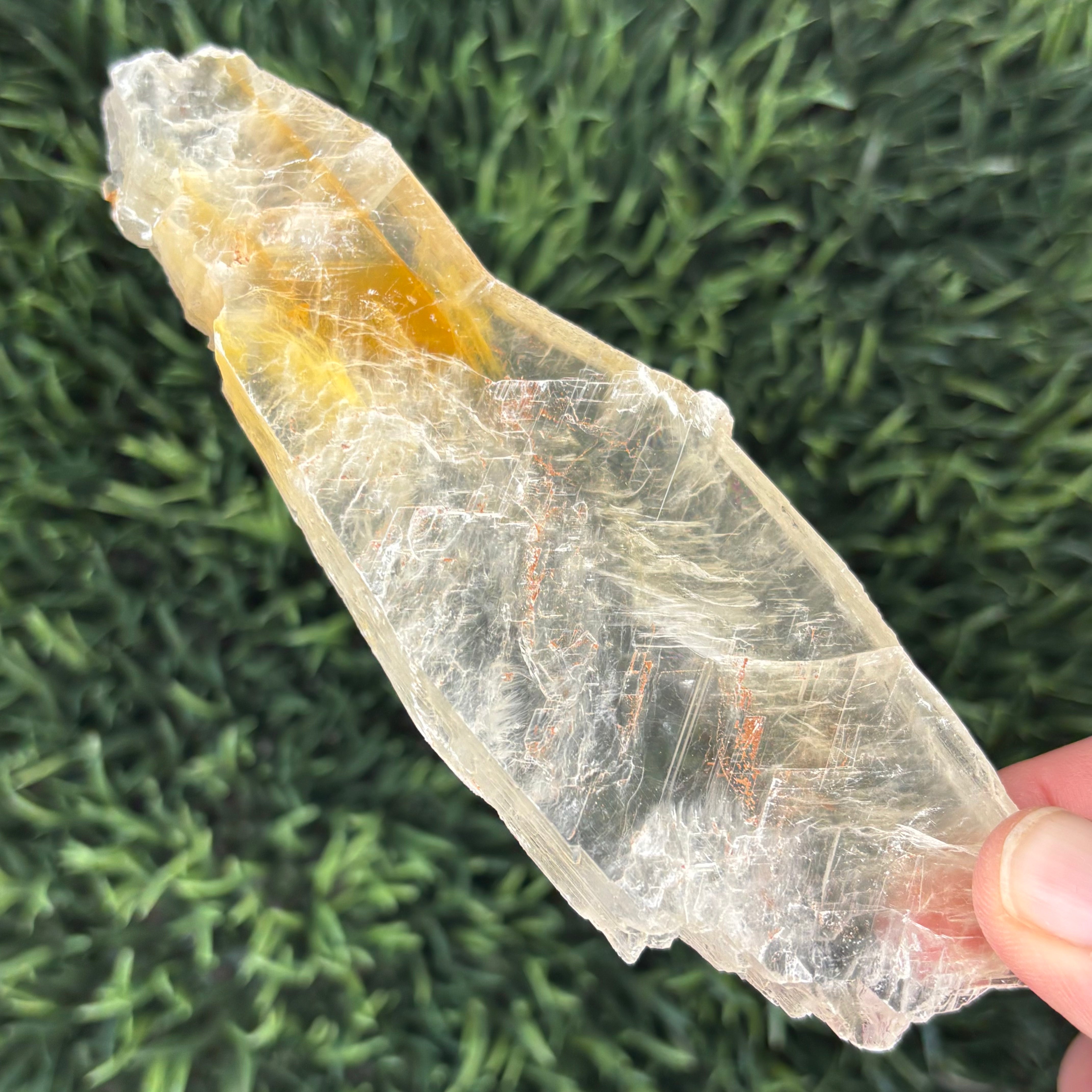 Golden Selenite Window - 582
