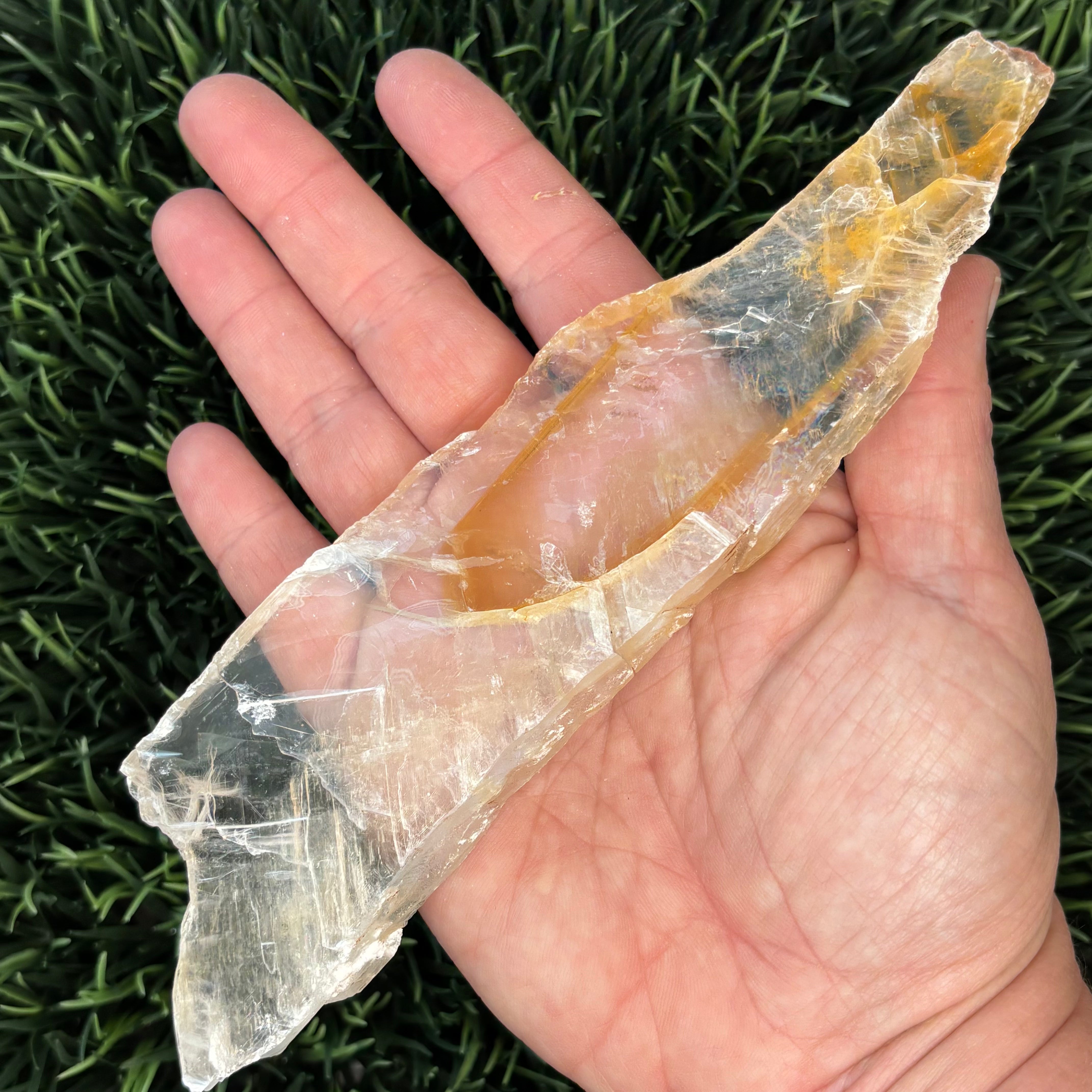 Golden Selenite Window - 584